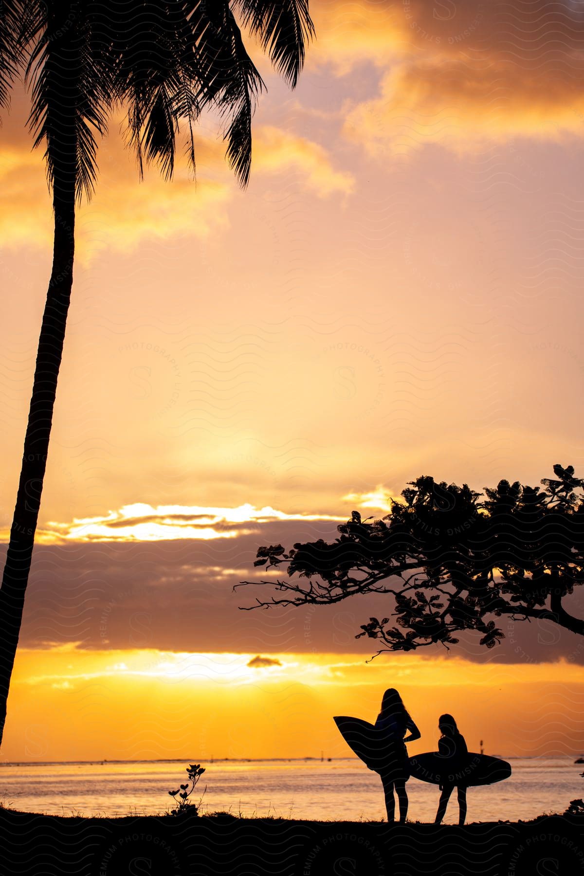 Two women carrying surfboards out on the beach.