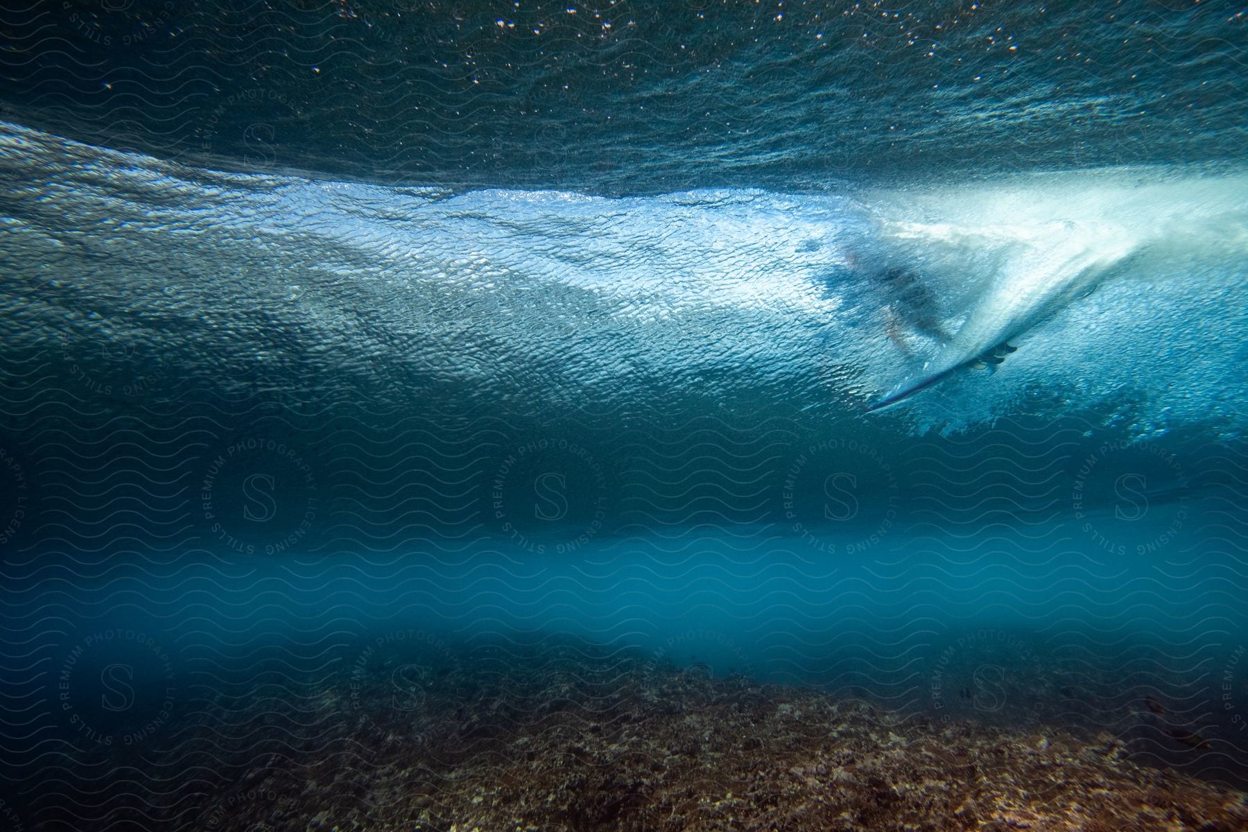 Underwater view of corals and a person surfing a wave.