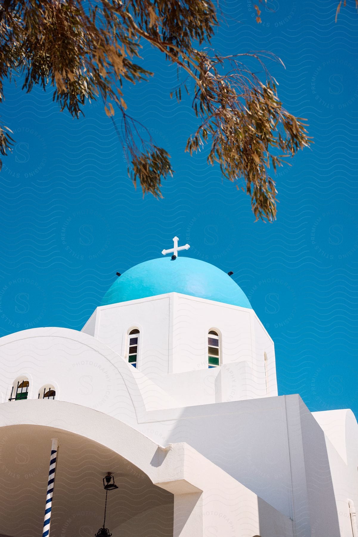 A tree grows near a domed mosque under a clear blue sky