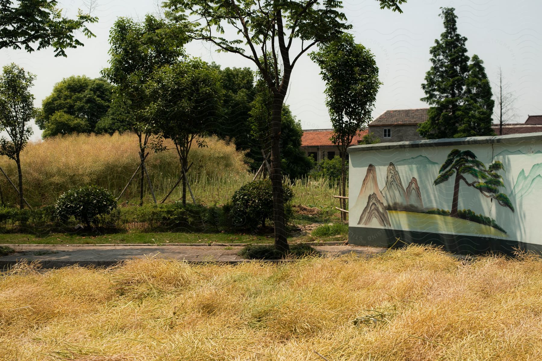 Residential houses in a location with natural fields and a wall with artistic arts.