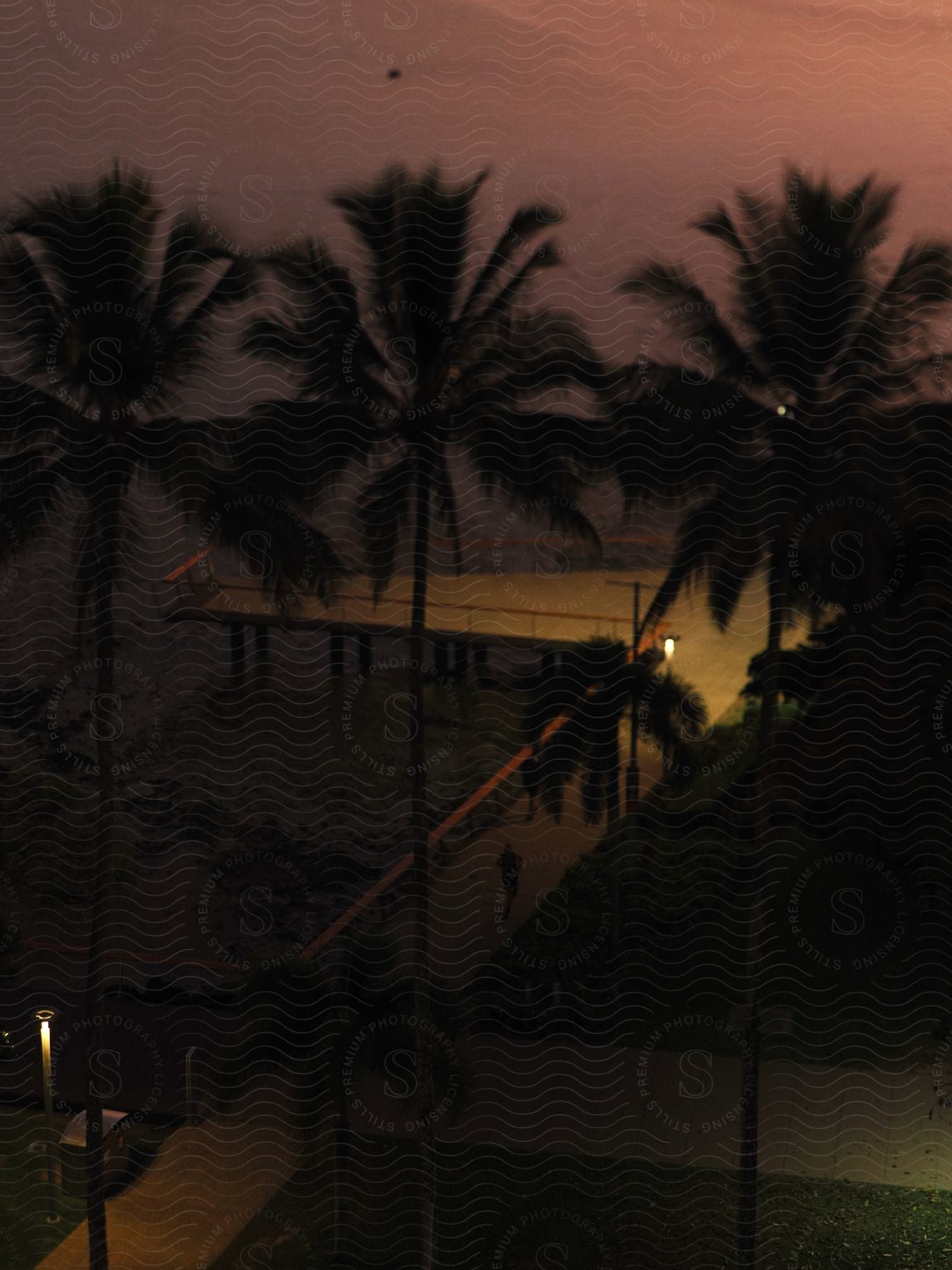 A person is running on a deck path over a beach and there are several palm trees