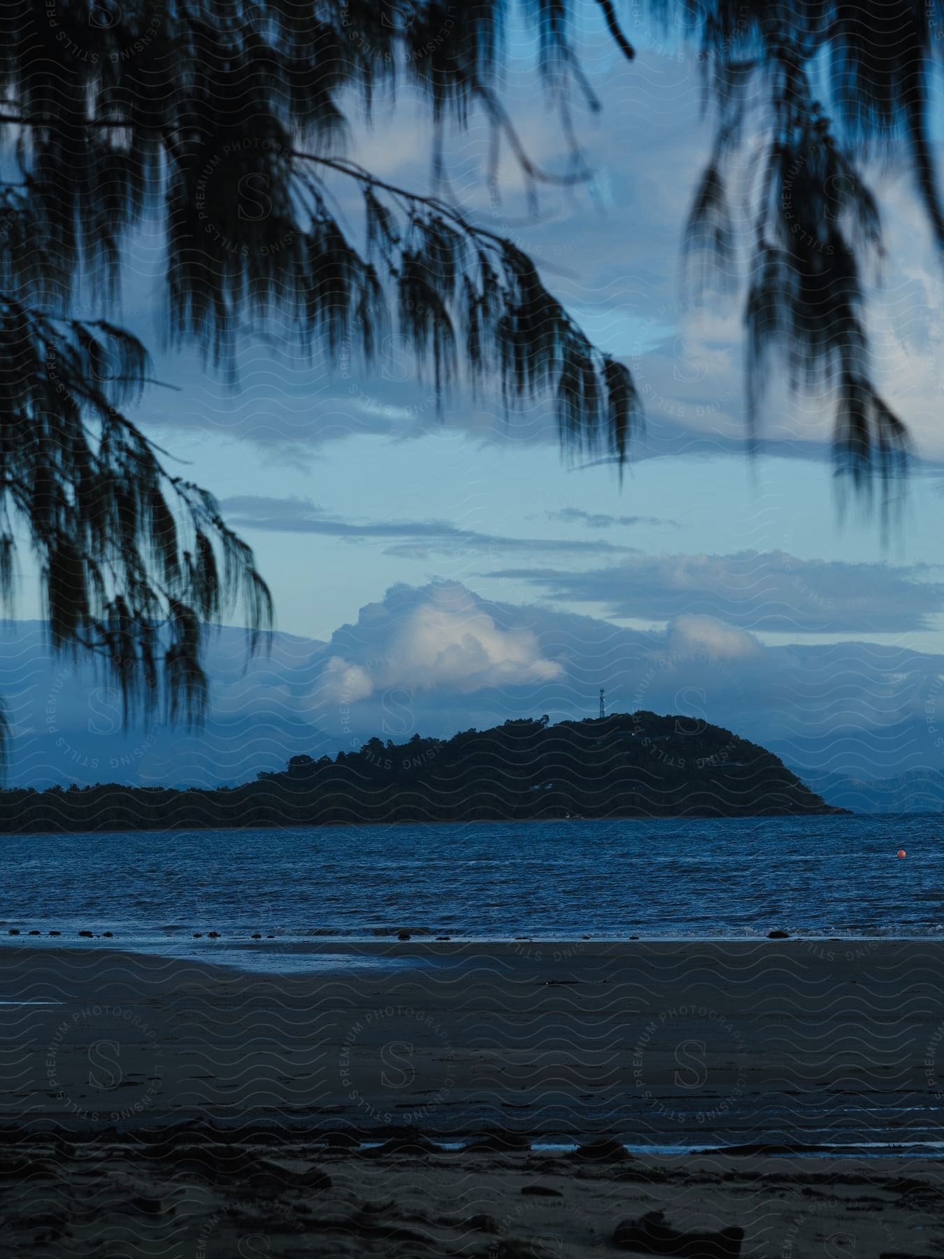 A beach at dusk with a tree-covered island in the distance and leaves from a foreground tree littering the dark sand.