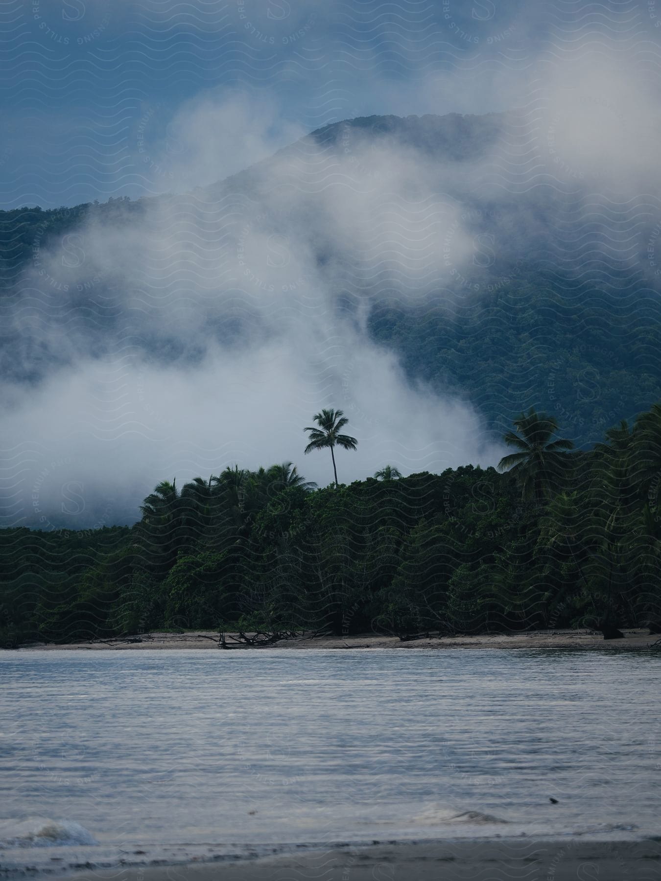 Landscape of a beach with tropical vegetation and mountains around.