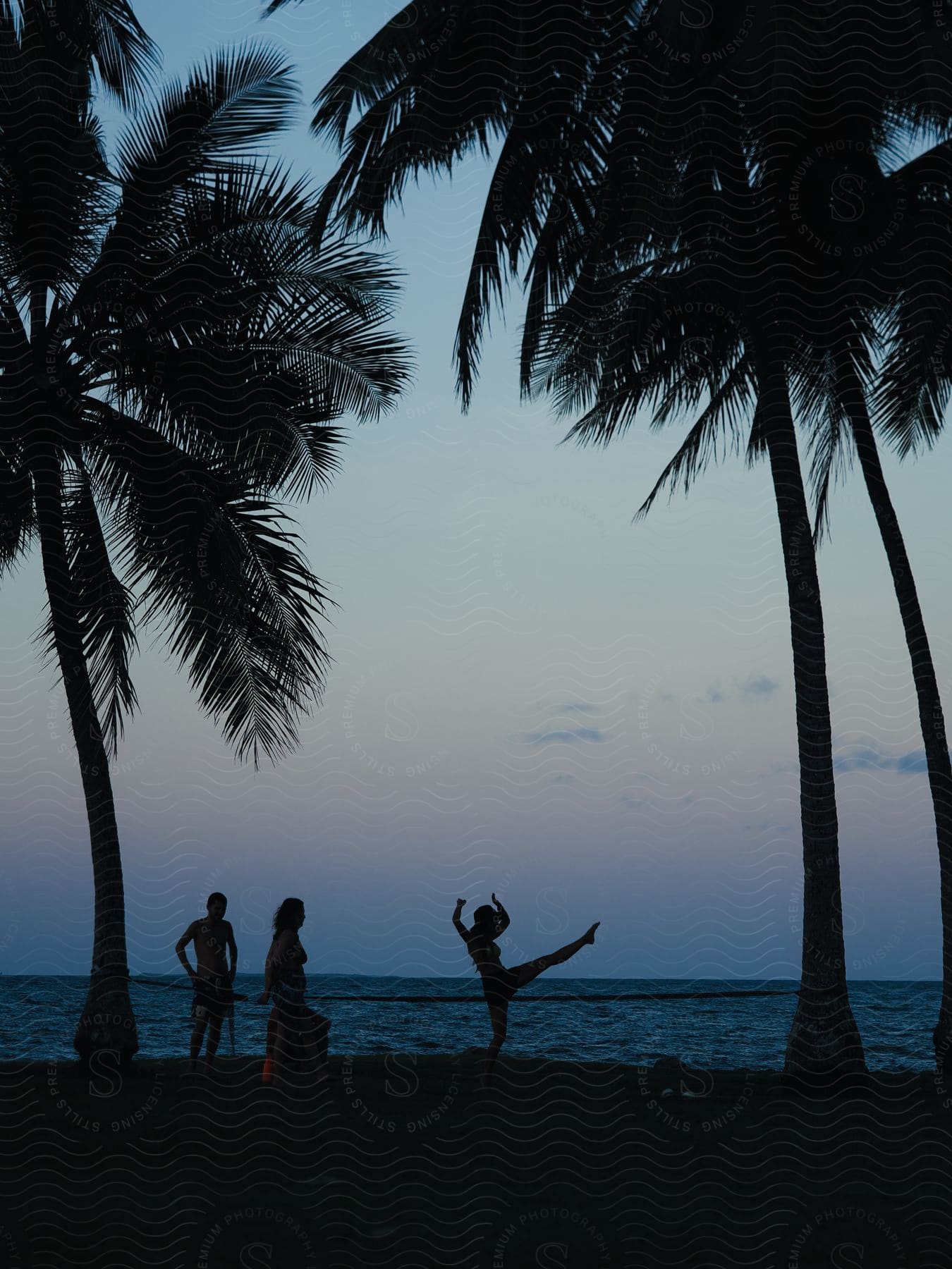 People standing on the beach near palm trees