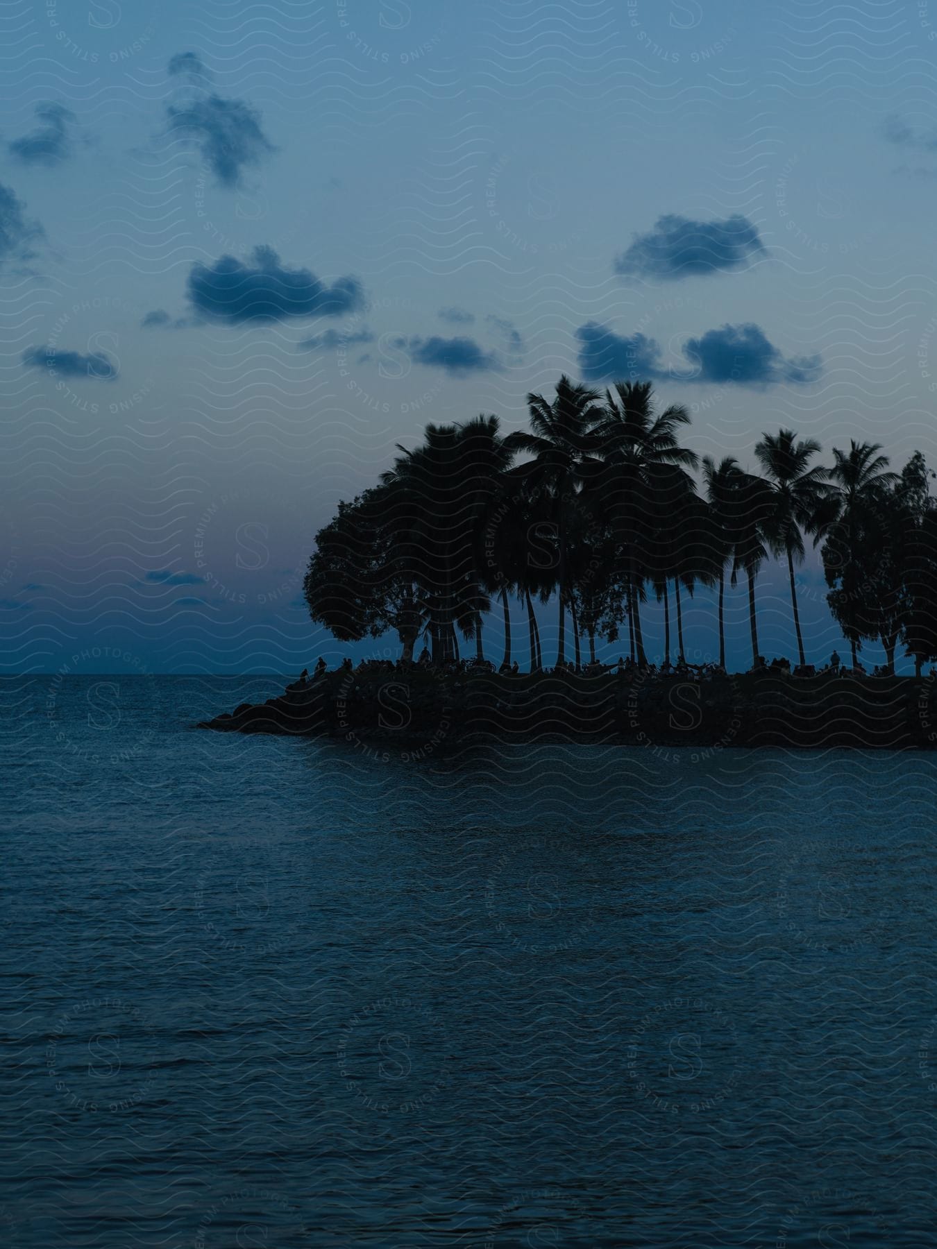 Silhouette of a small island with tropical palm trees on a beach on a dark sky morning.