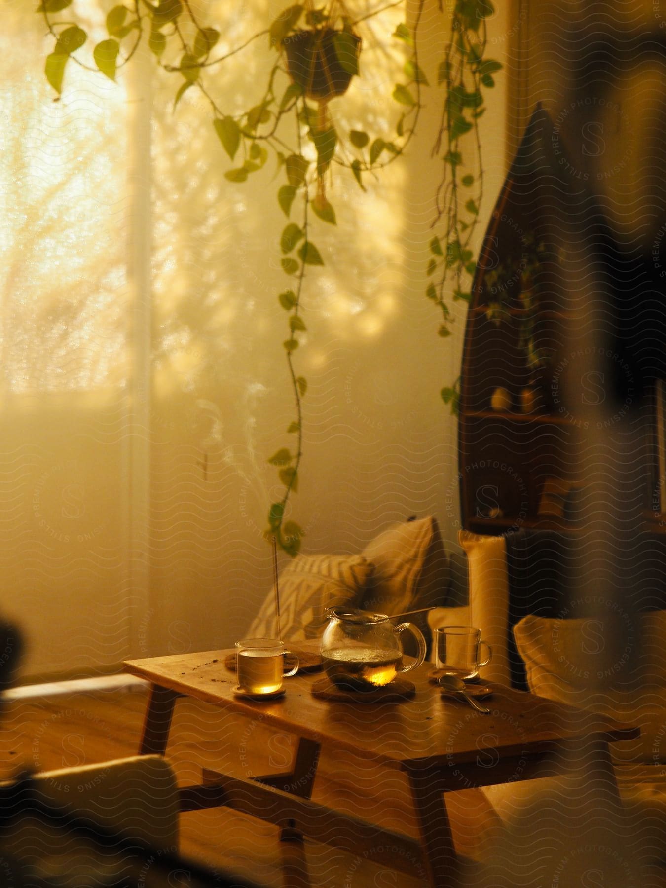 In a daytime living room, a glass jug filled with tea sits on the table alongside a mug holding a cup of tea. Above, a plant grows down from the ceiling.