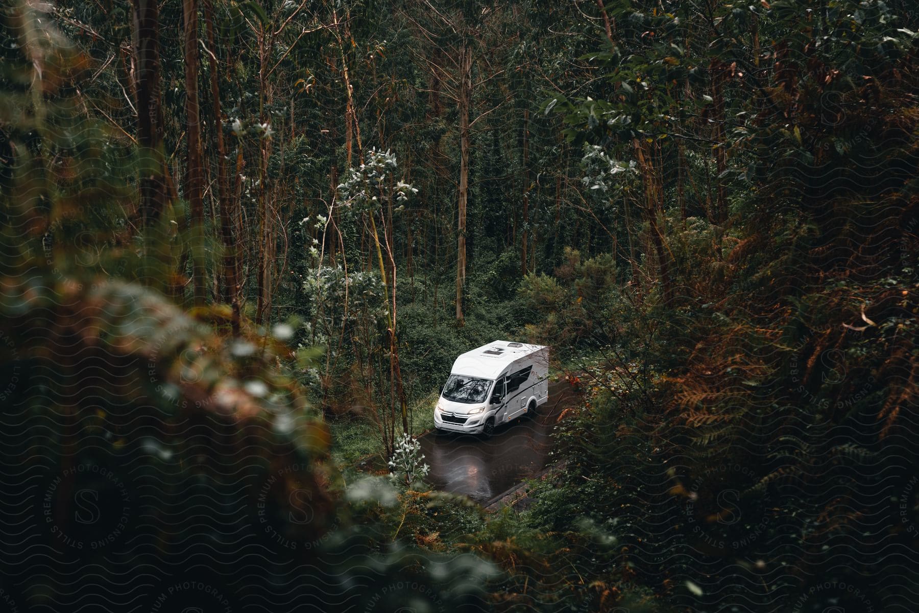 A white van sitting on a rain slicked road in a forest