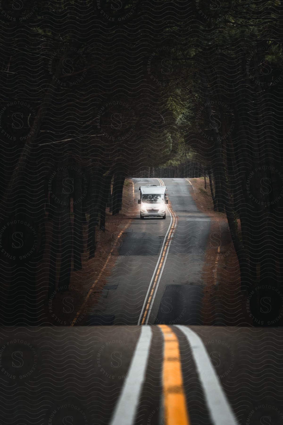 An RV driving on a road across a dense forest.