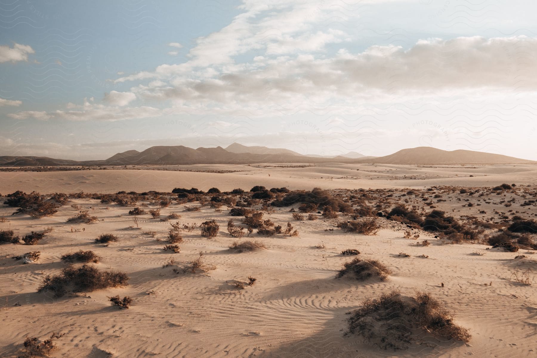 A view of a desert landscape with a lot of sand and mountains in the distance.