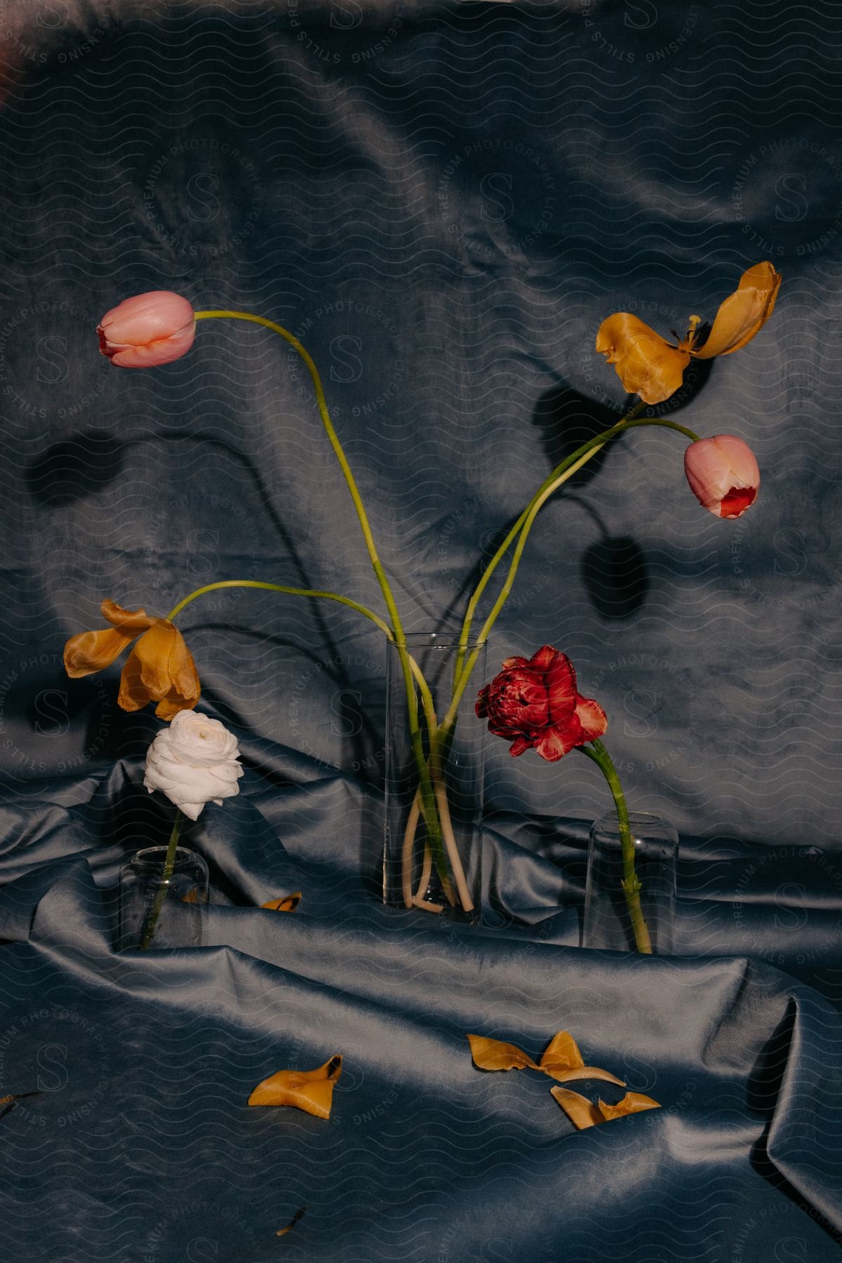 A collection of flowers in vases on a draped fabric