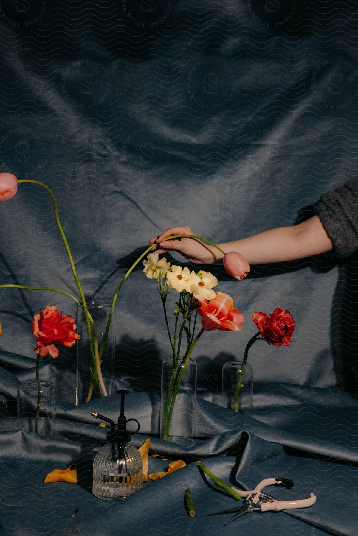 A hand arranging flowers in a vase against a dark background