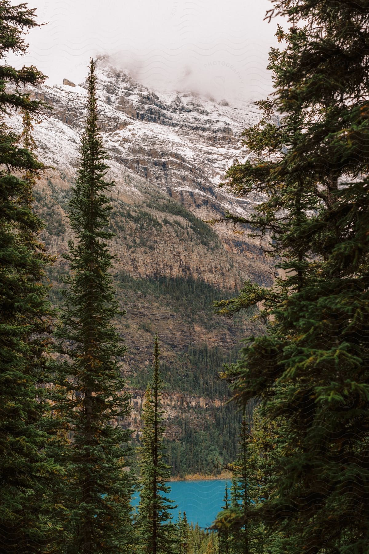 Blue lake in the forest at the foot of a mountain