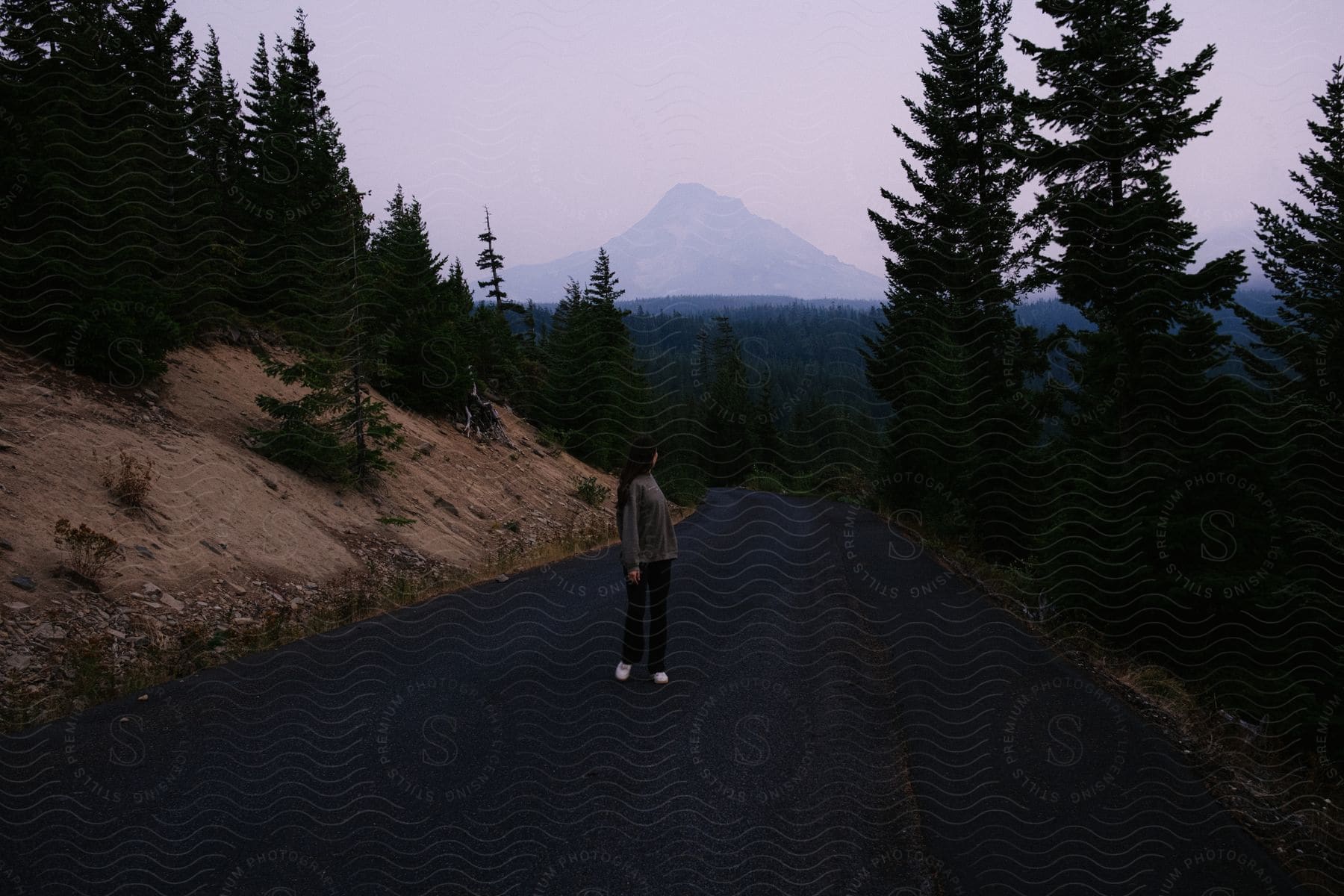 A person has their back turned and is standing in the middle of a rural asphalt street looking ahead where there is a large pine forest.