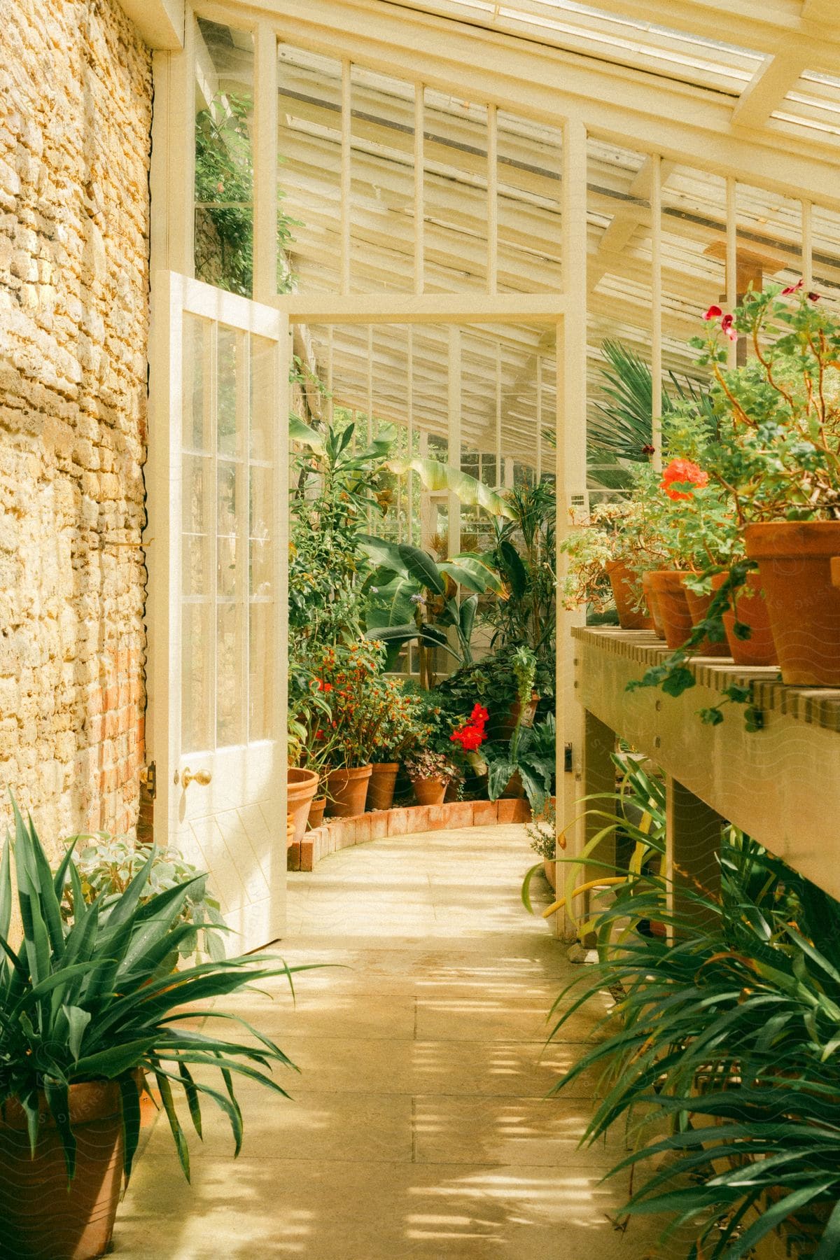 A greenhouse full of potted plants and flowers.