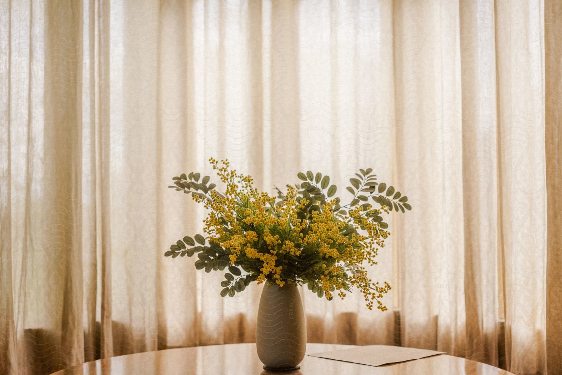 A plant sitting in a vase on a table.