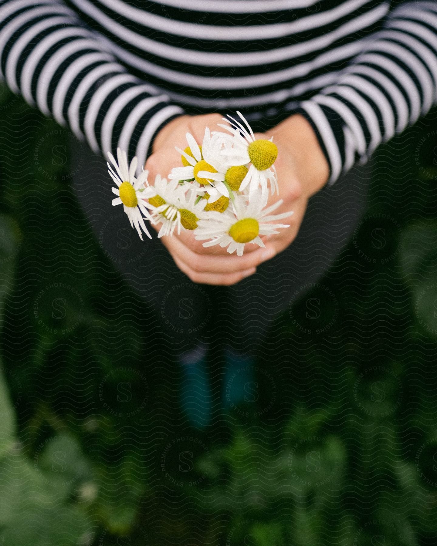 A person is holding flowers while standing on grassland during the daytime