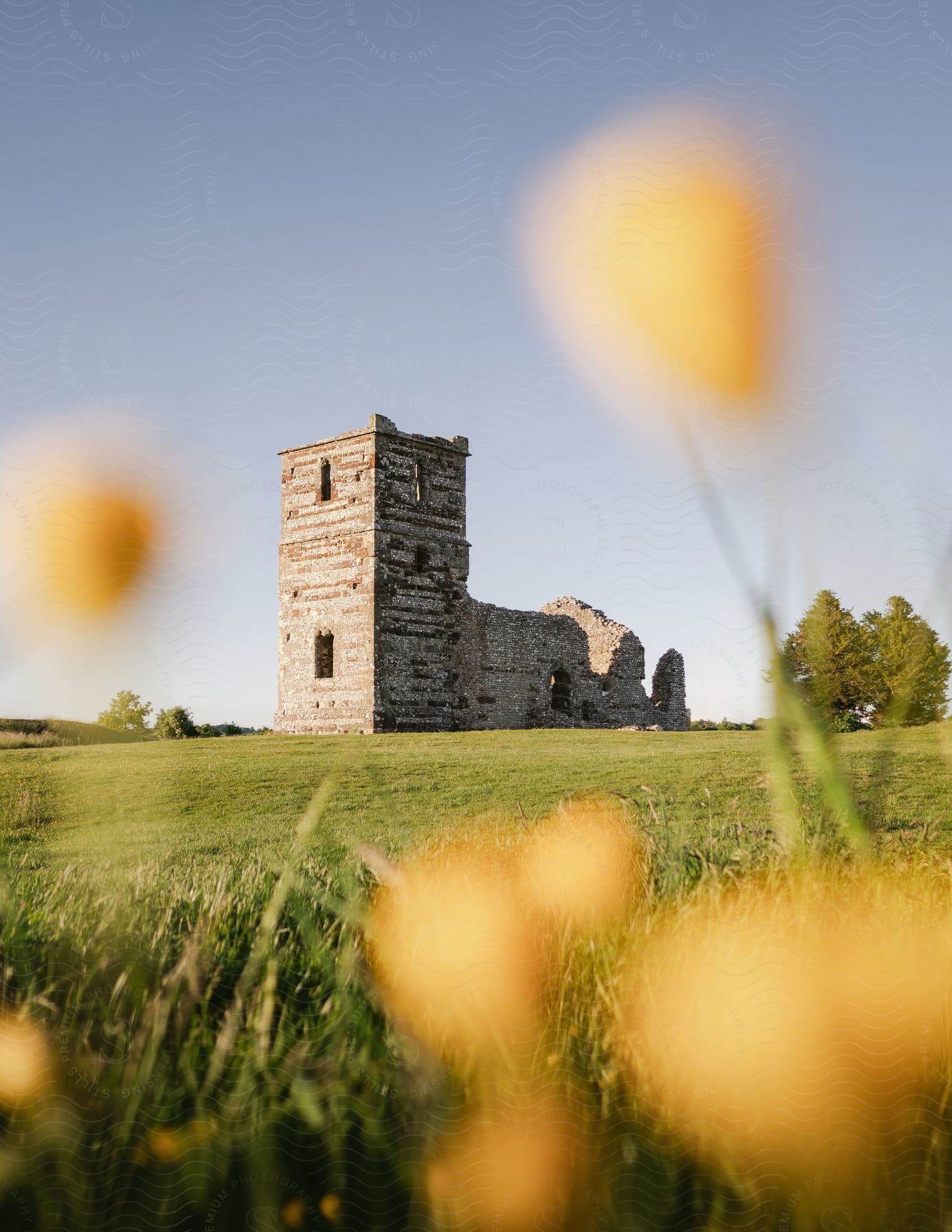 An ancient castle lies in ruins on a vast green field, encircled by trees and short grass.