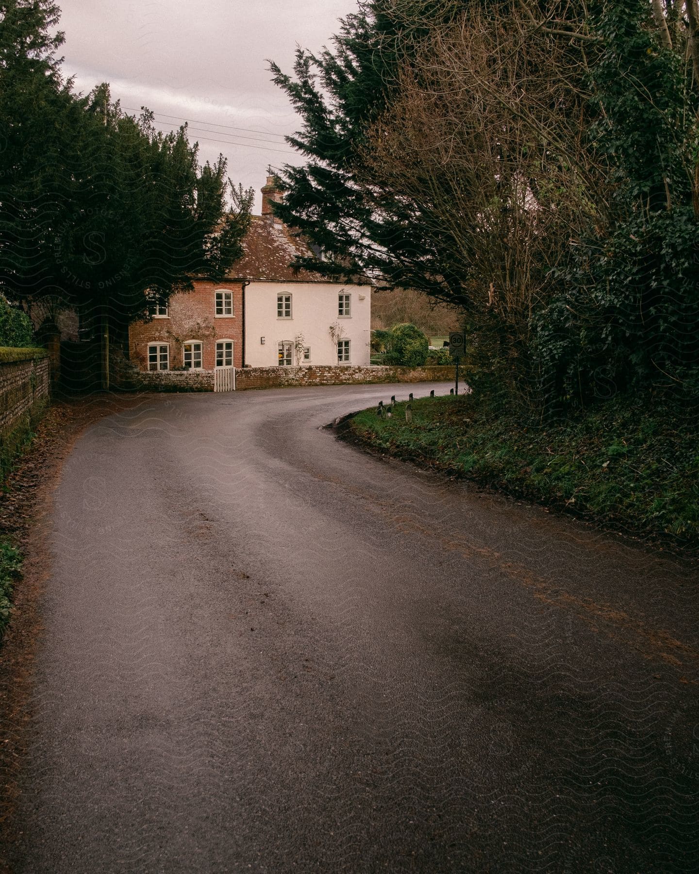 A winding road leads to a cozy white cottage surrounded by green vegetation.