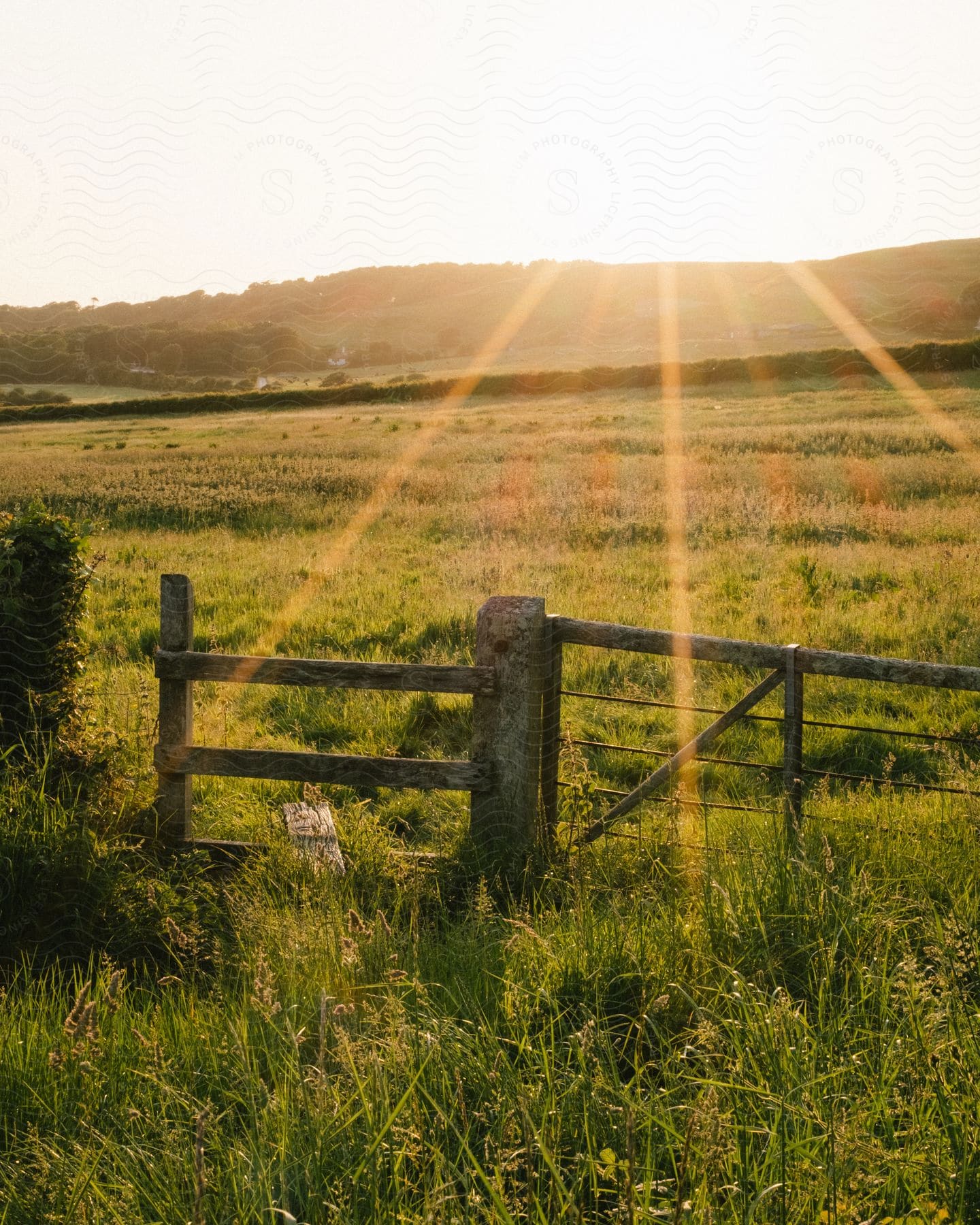 A serene countryside landscape, with the sun casting its golden rays over a lush green field, bordered by a rustic wooden fence.