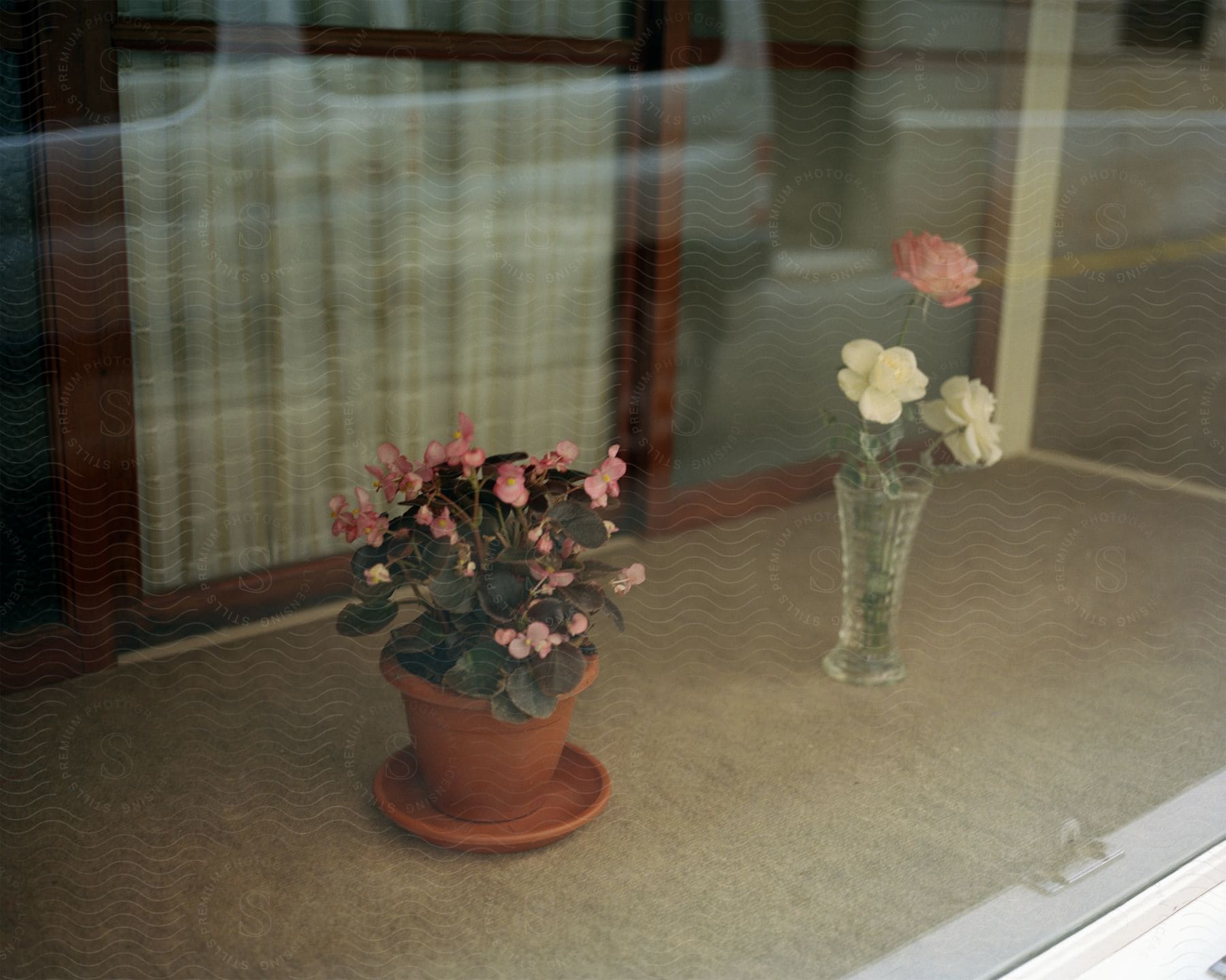 Two flowers sitting on a table in a window.