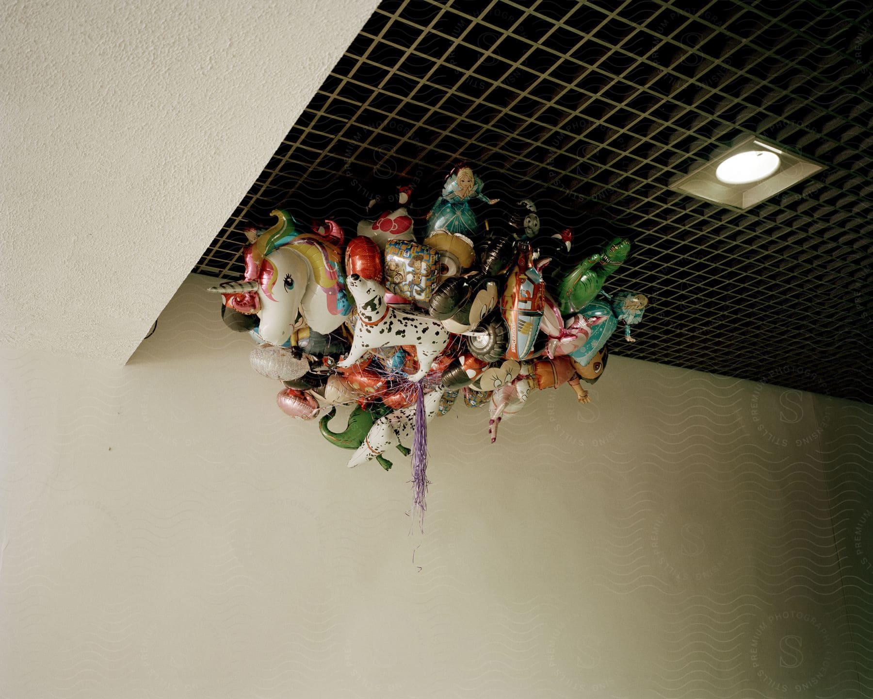 A Group Of Balloons Have Floated Up Top To The Ceiling