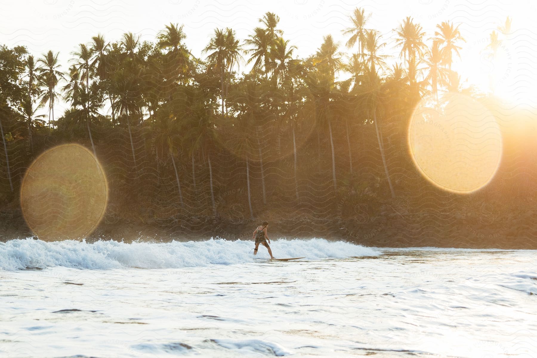 On a sunny evening near the shore, a man is surfing in the ocean, with palm trees lining the shore.