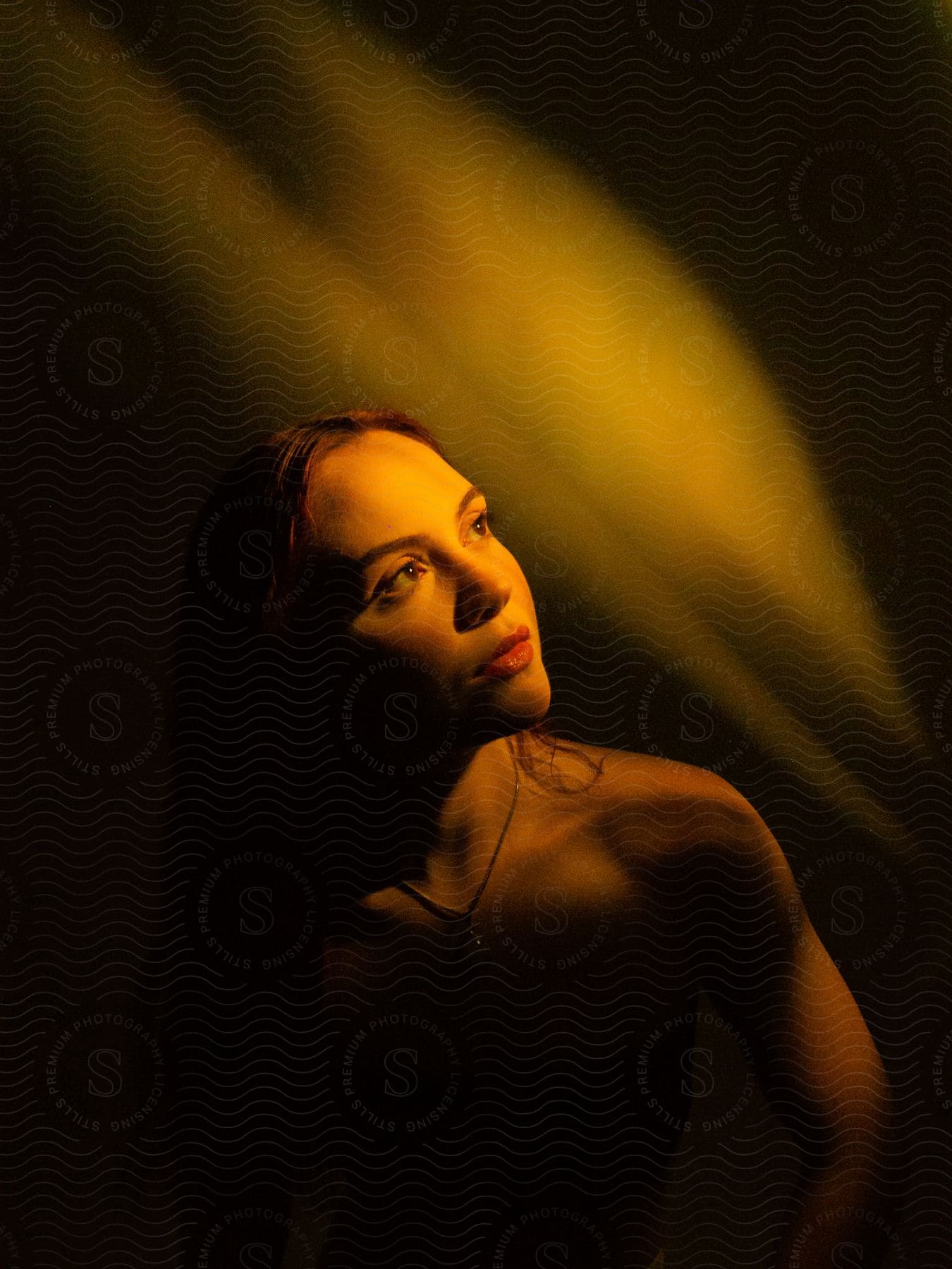 A woman with bare shoulders posed looking up into a golden light