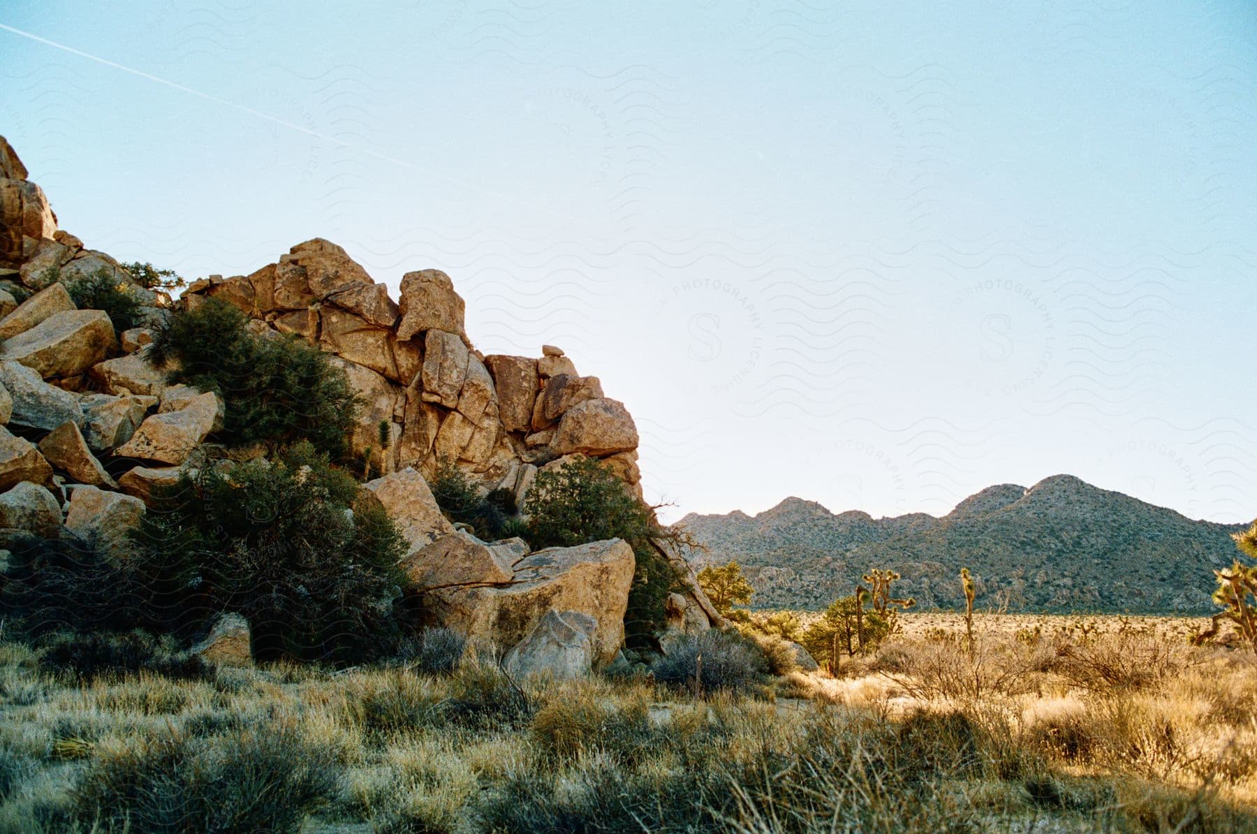 Rocky desert landscape with large boulders and scattered Joshua trees, under a clear sky.