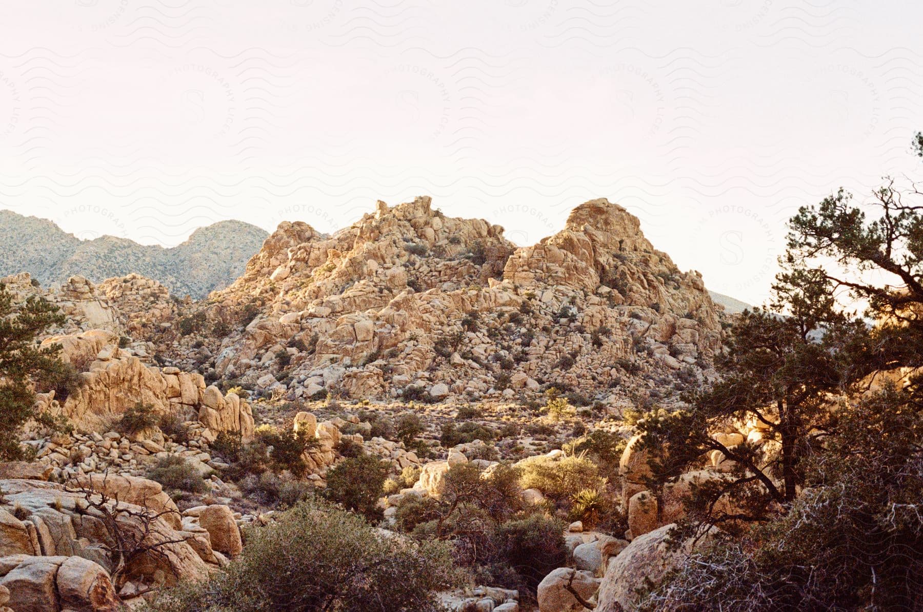 Plants and vegetation grow among rock formations and rocky mountains