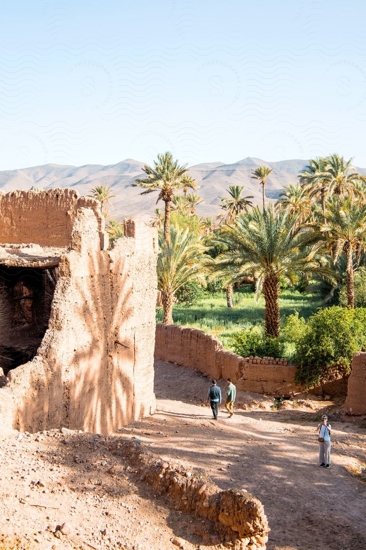 Ruins of clay buildings with an oasis of palm trees in the background under a clear sky and tourists strolling by.
