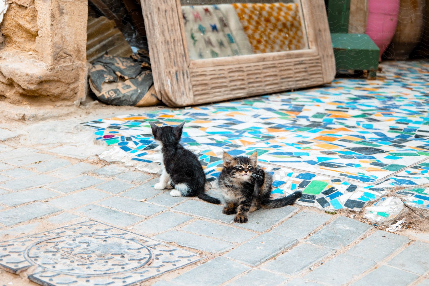 Two curious kittens, one scratching an itch, rest on a sidewalk near colorful mosaic tiles.