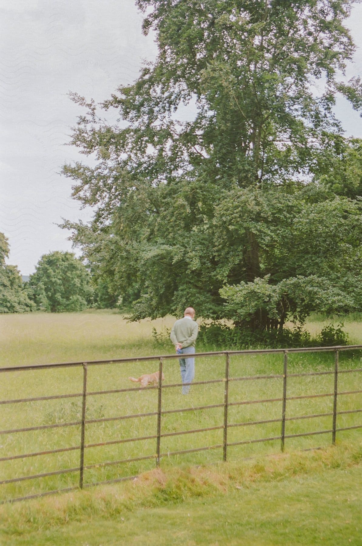 A man walking outdoors next to a dog