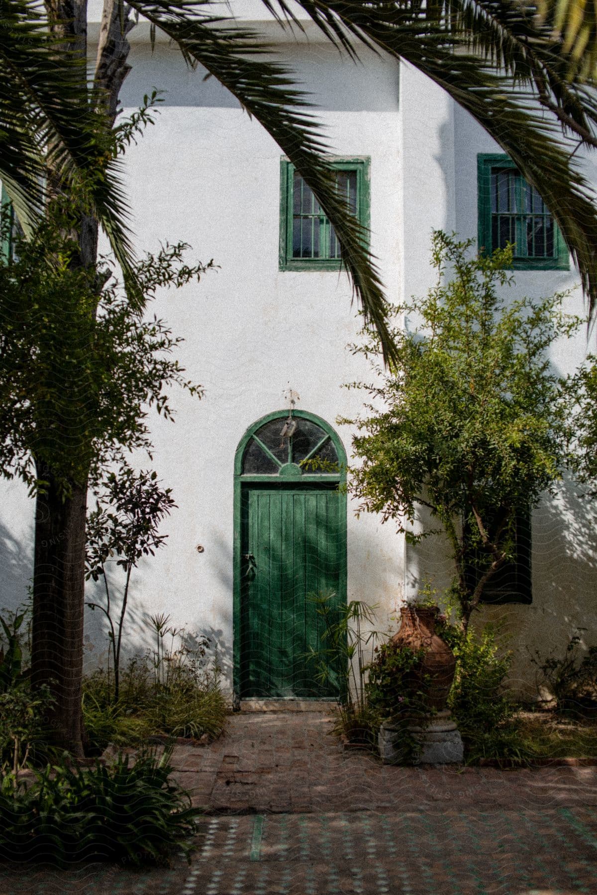 Exterior architecture of a white wall of a house with a greenish door and trees around