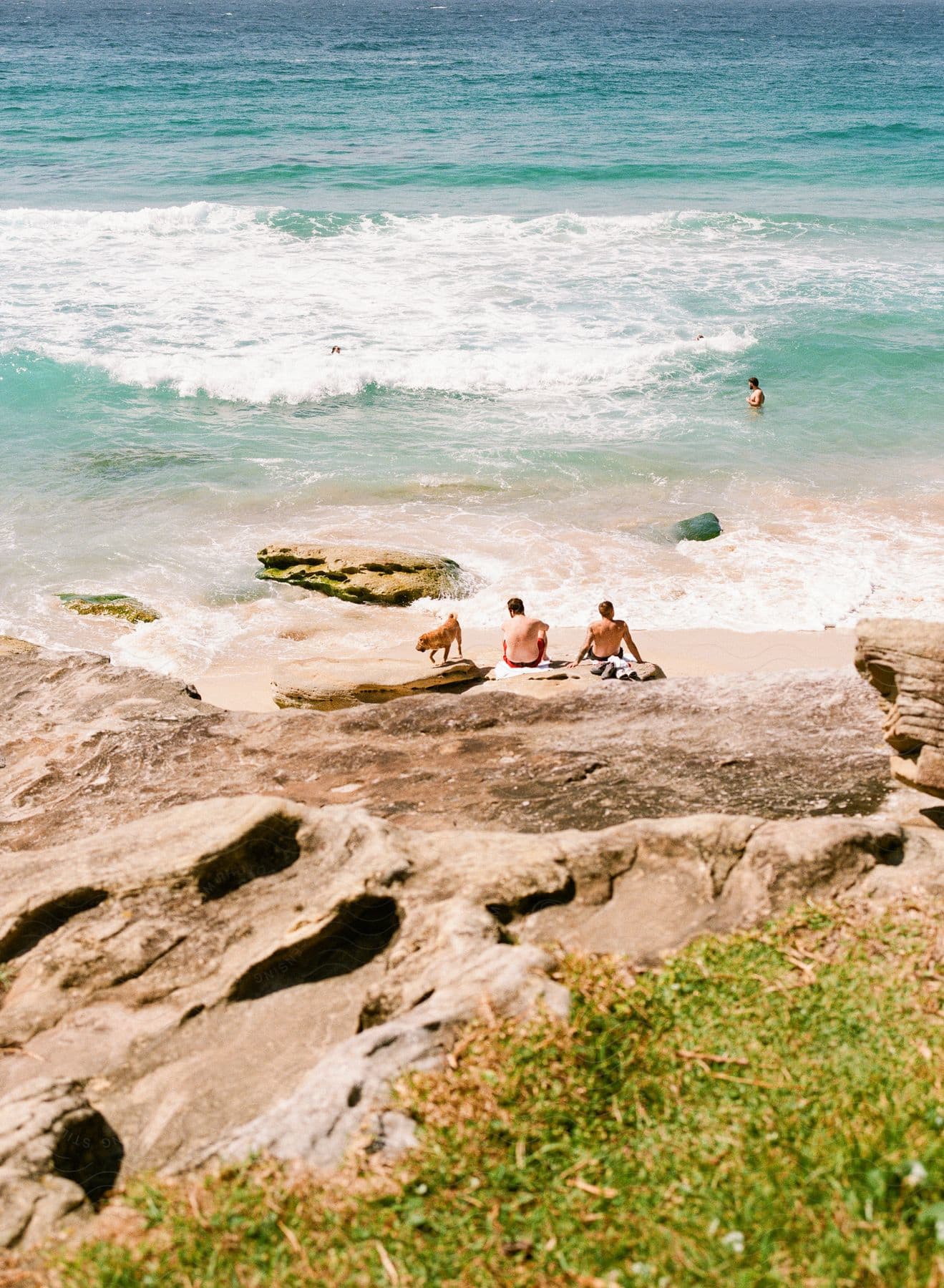 Two people sitting on the edge of the beach and there is a dog next to them and a person in the water bathing in the sea