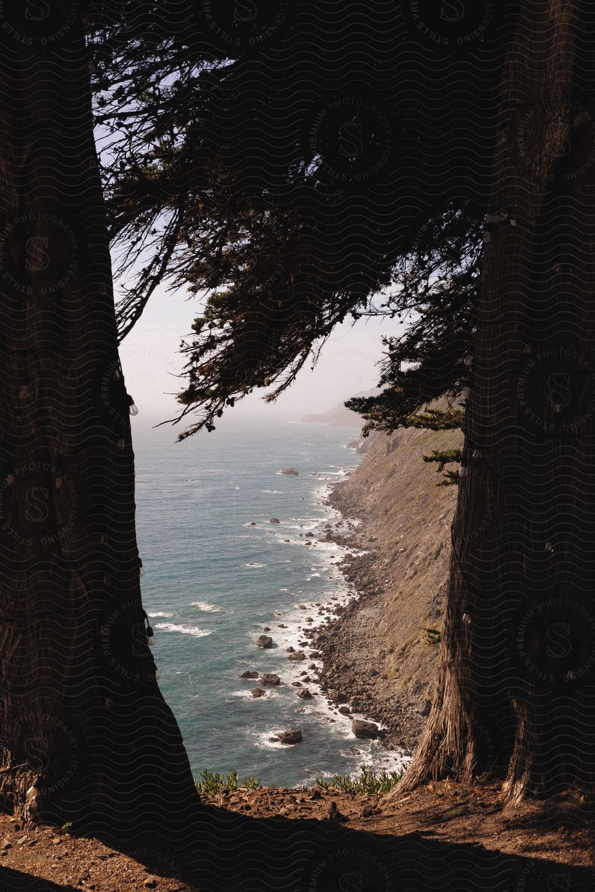 Evergreen trees line the steep coastline next to the ocean on a cloudy day.