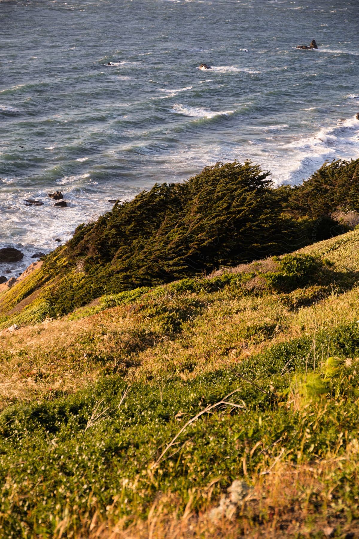 A view of the ocean on a sunny day with hills alongside it