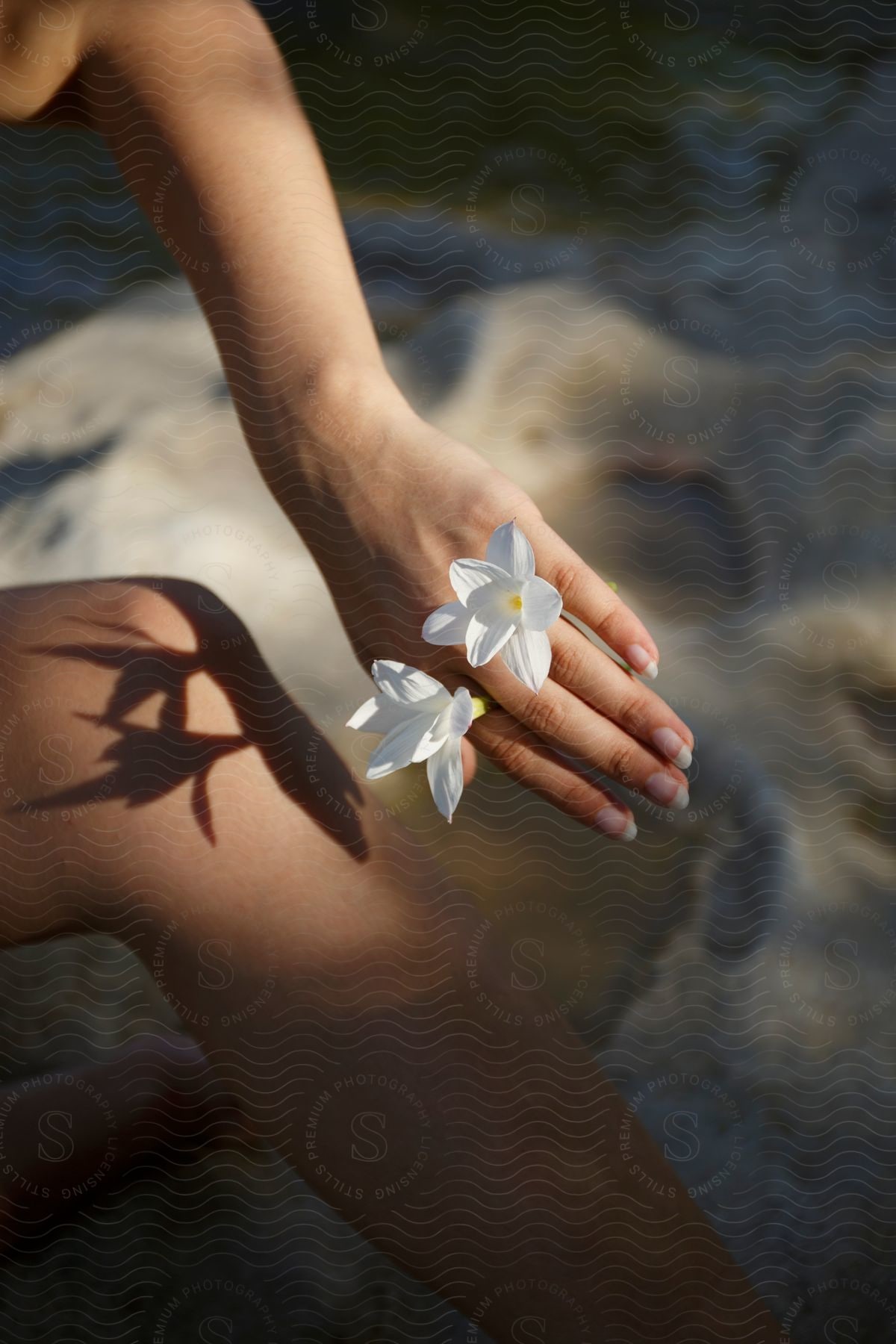 A woman's hand gently cradles a flower between her fingers, the soft sand of the beach stretching out behind her.