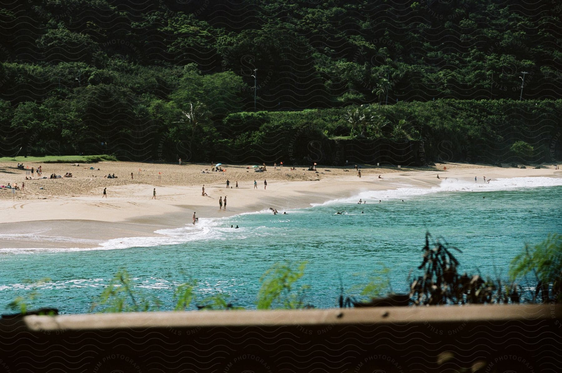 People on a beach and in the water outside of a tropical rainforest