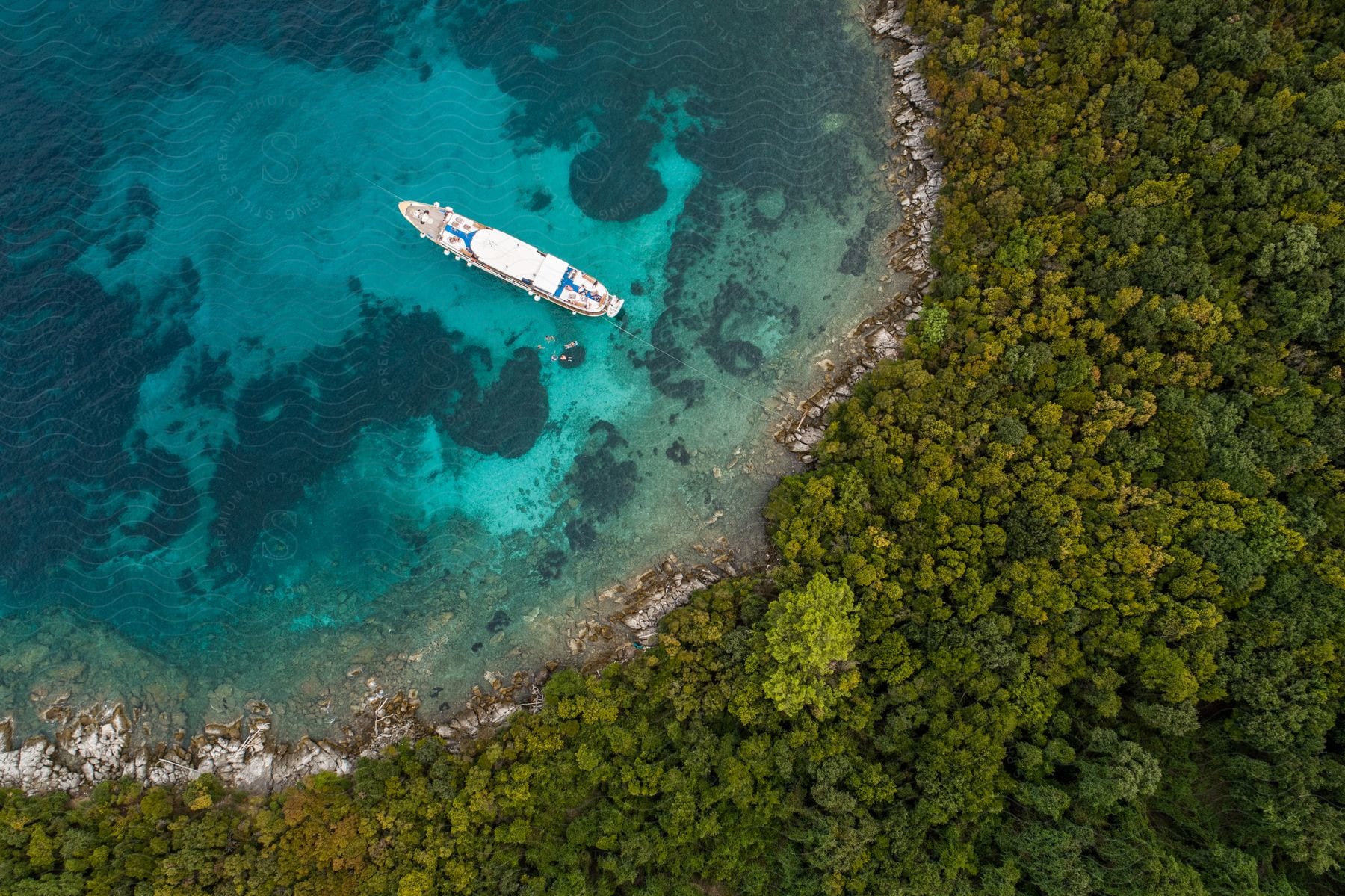 Cruise ship off the forested coast sailing in blue water