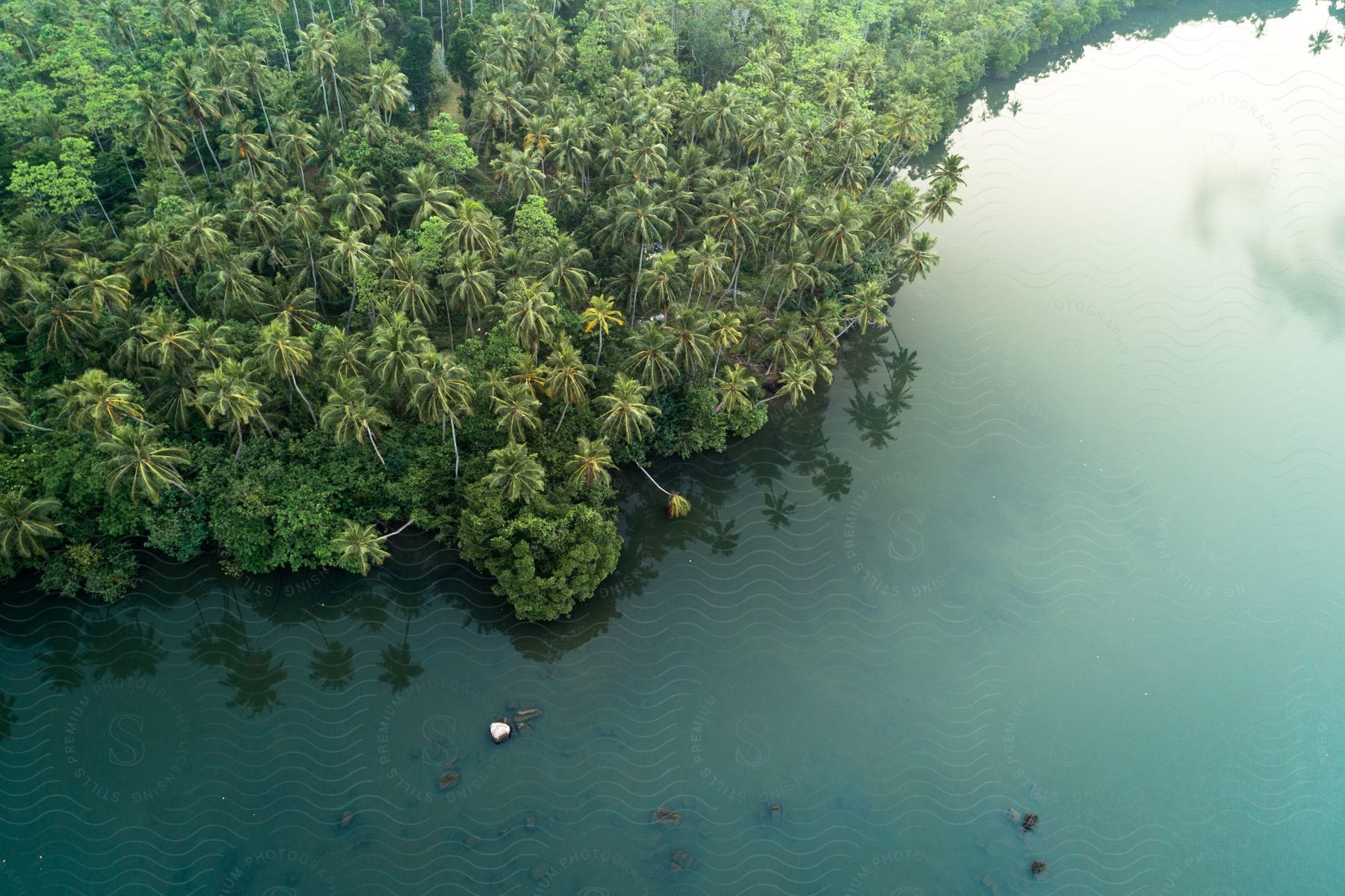 Stock photo of aerial view of a palm-fringed waterfront with clear water.