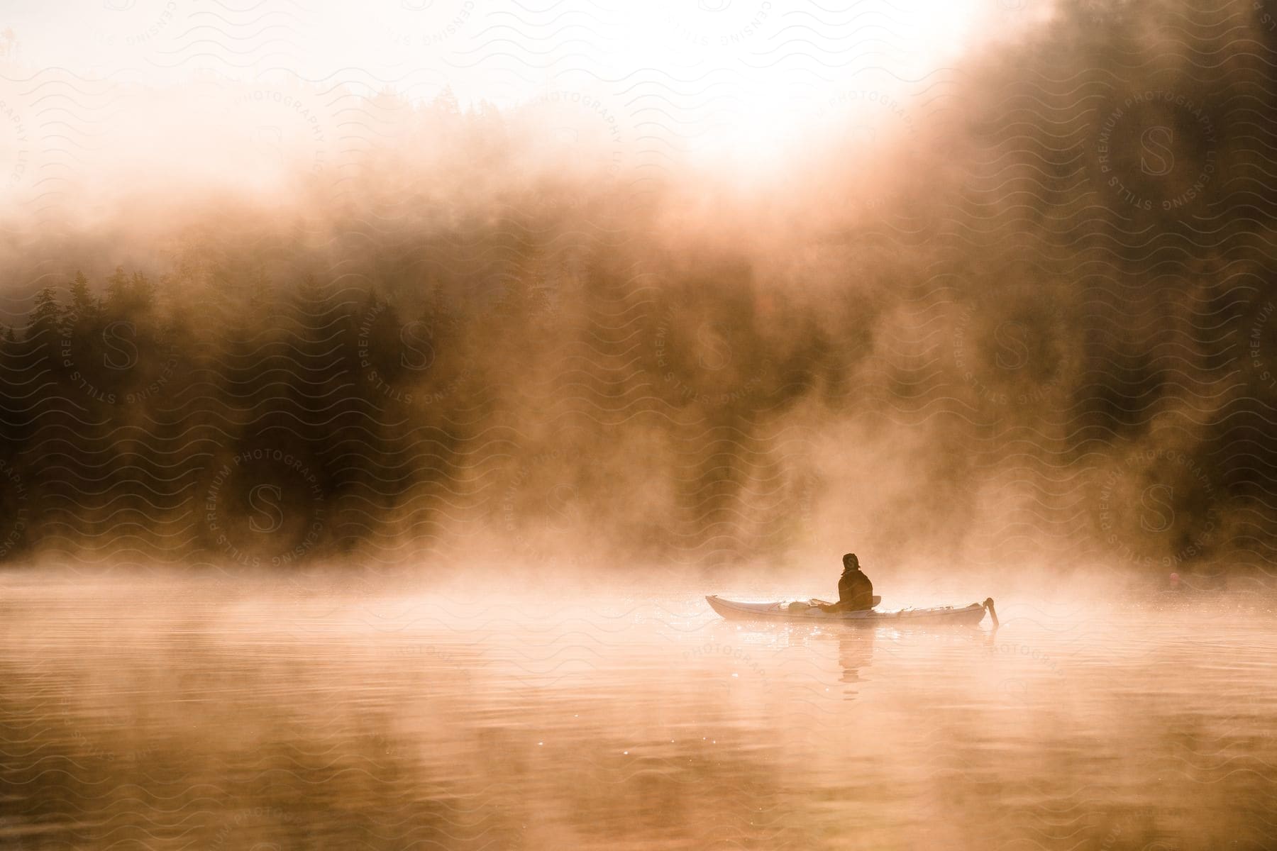 Person sitting in a canoe along the foggy coast