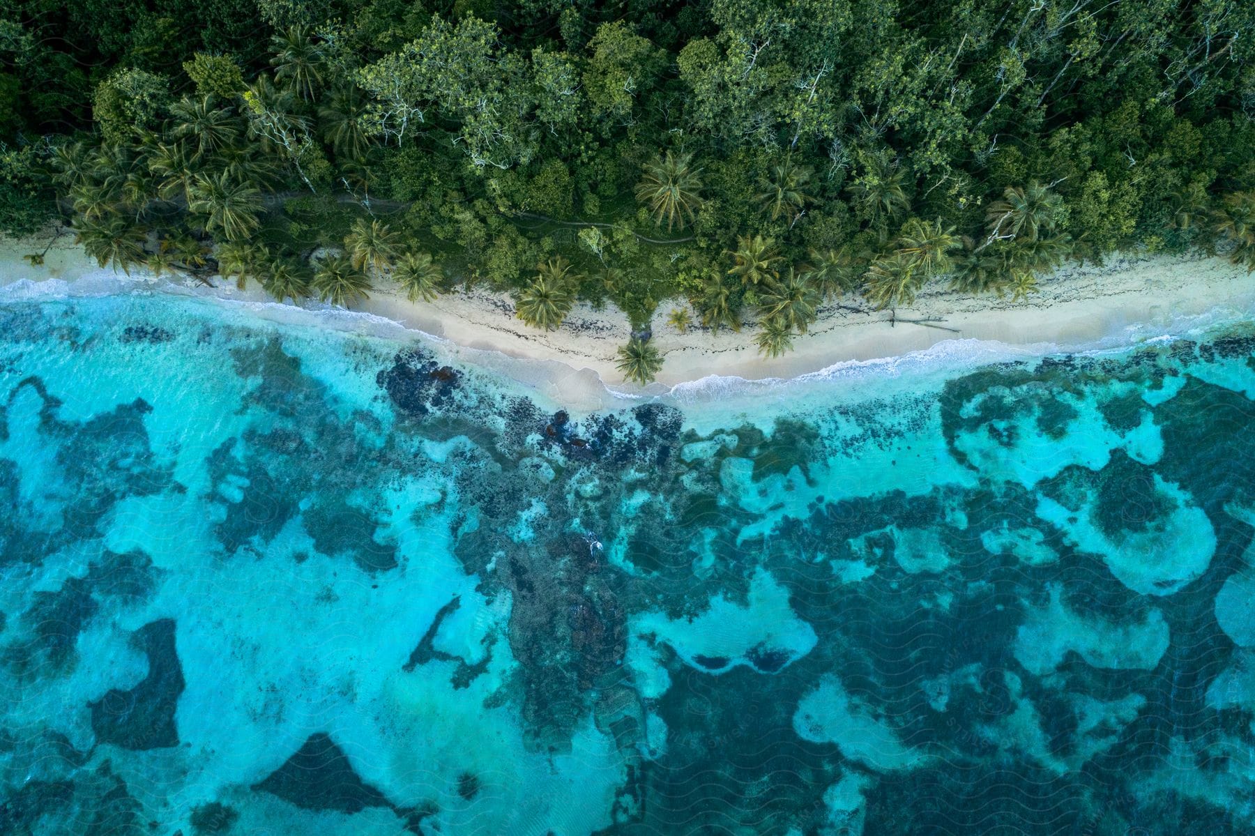 Aerial view of a beach with turquoise waters and tropical vegetation.