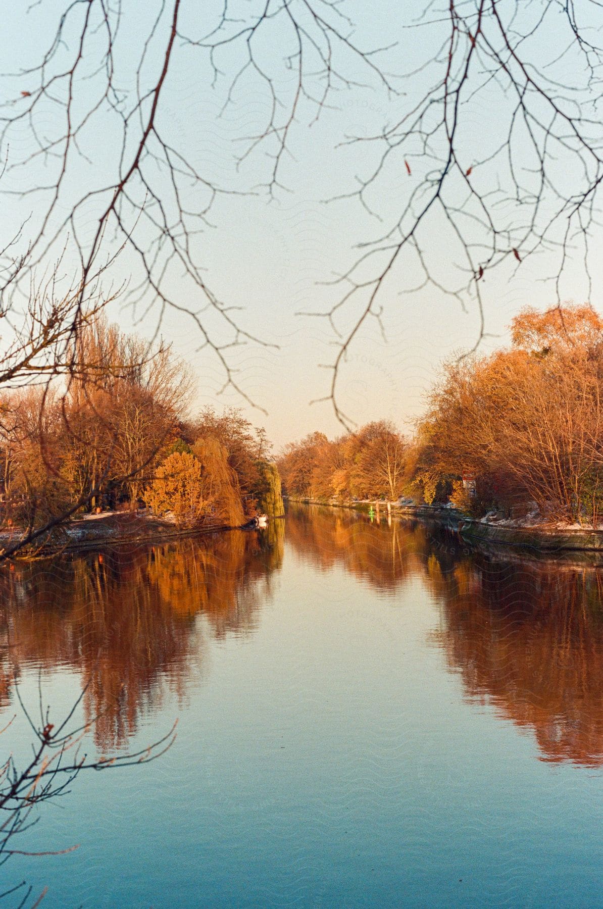 A calm river runs next to a forest of deciduous trees on a sunny, autumn day.