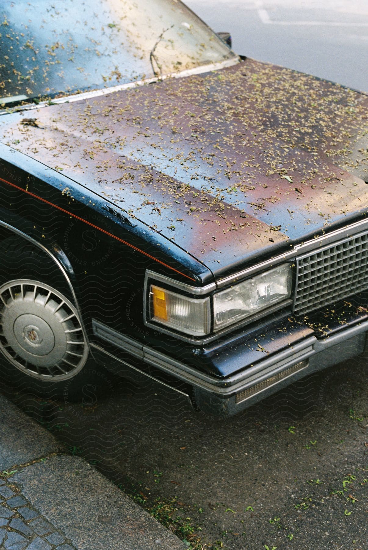 An old black car parked on the street with its hood and windshield covered in dry leaves