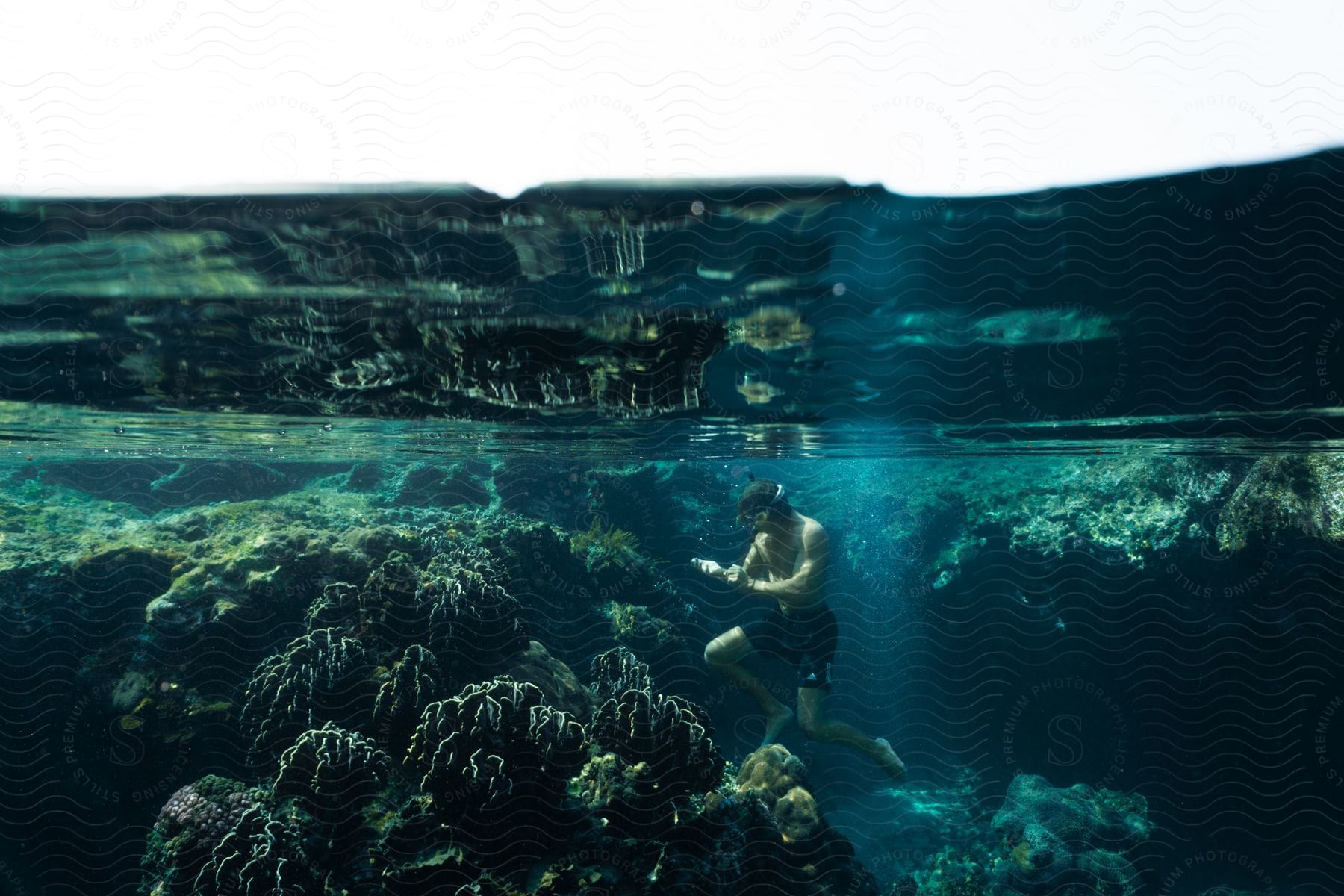 A person underwater looking at submerged corals