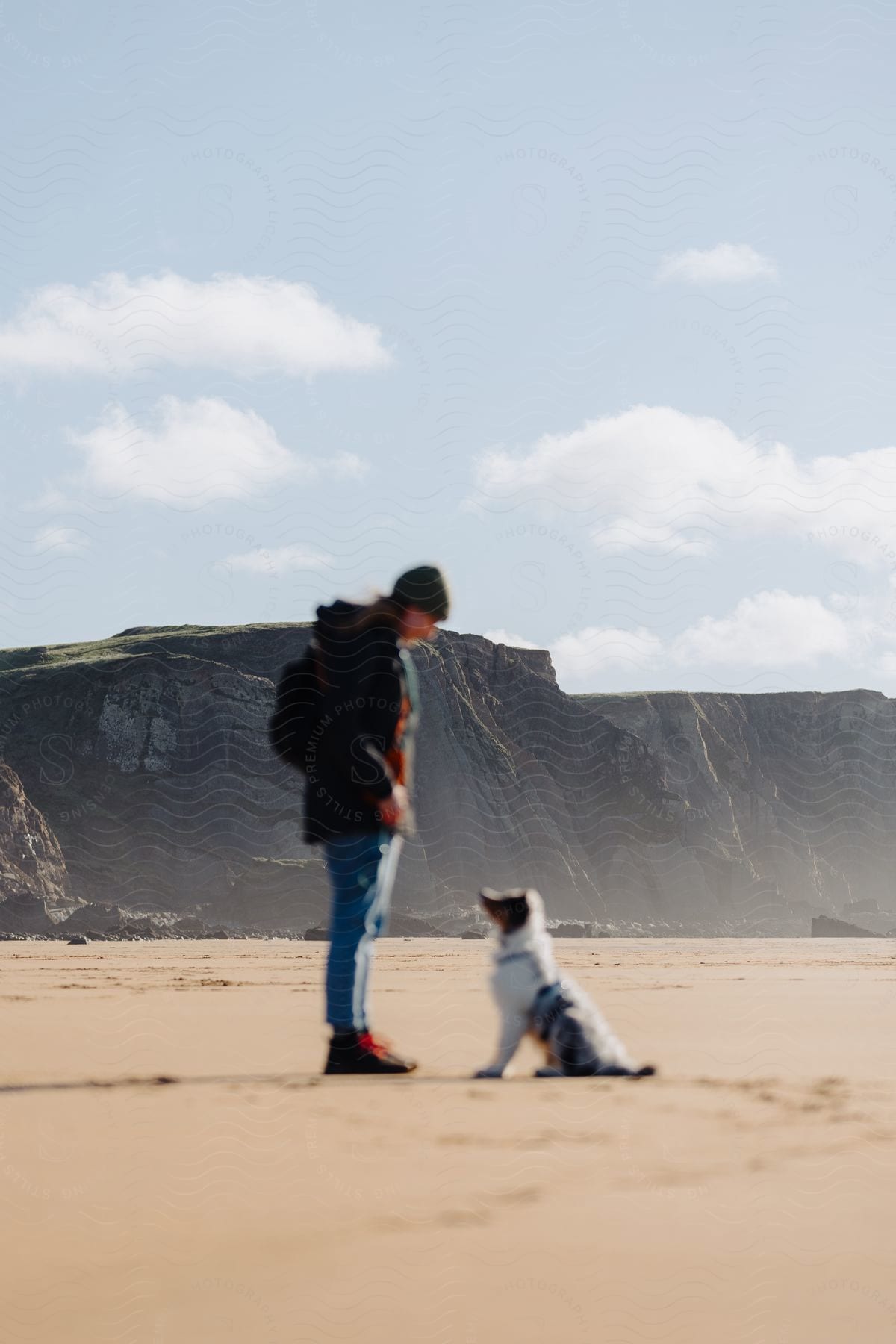Person with a backpack and dog on a sandy beach, with cliffs in the background and a clear sky.