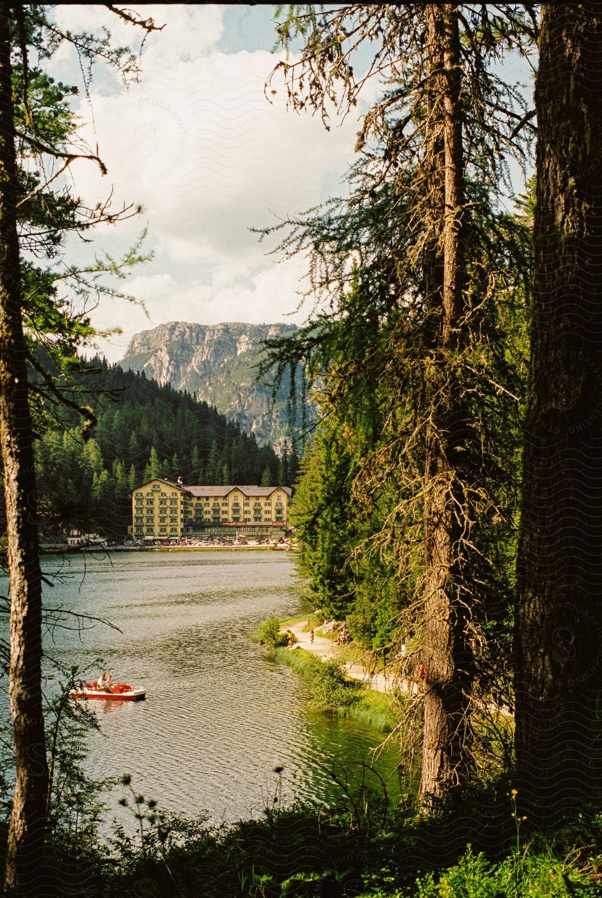 A Person Riding A Boat Toward A Riverbank Surrounded By Tall Trees During The Day