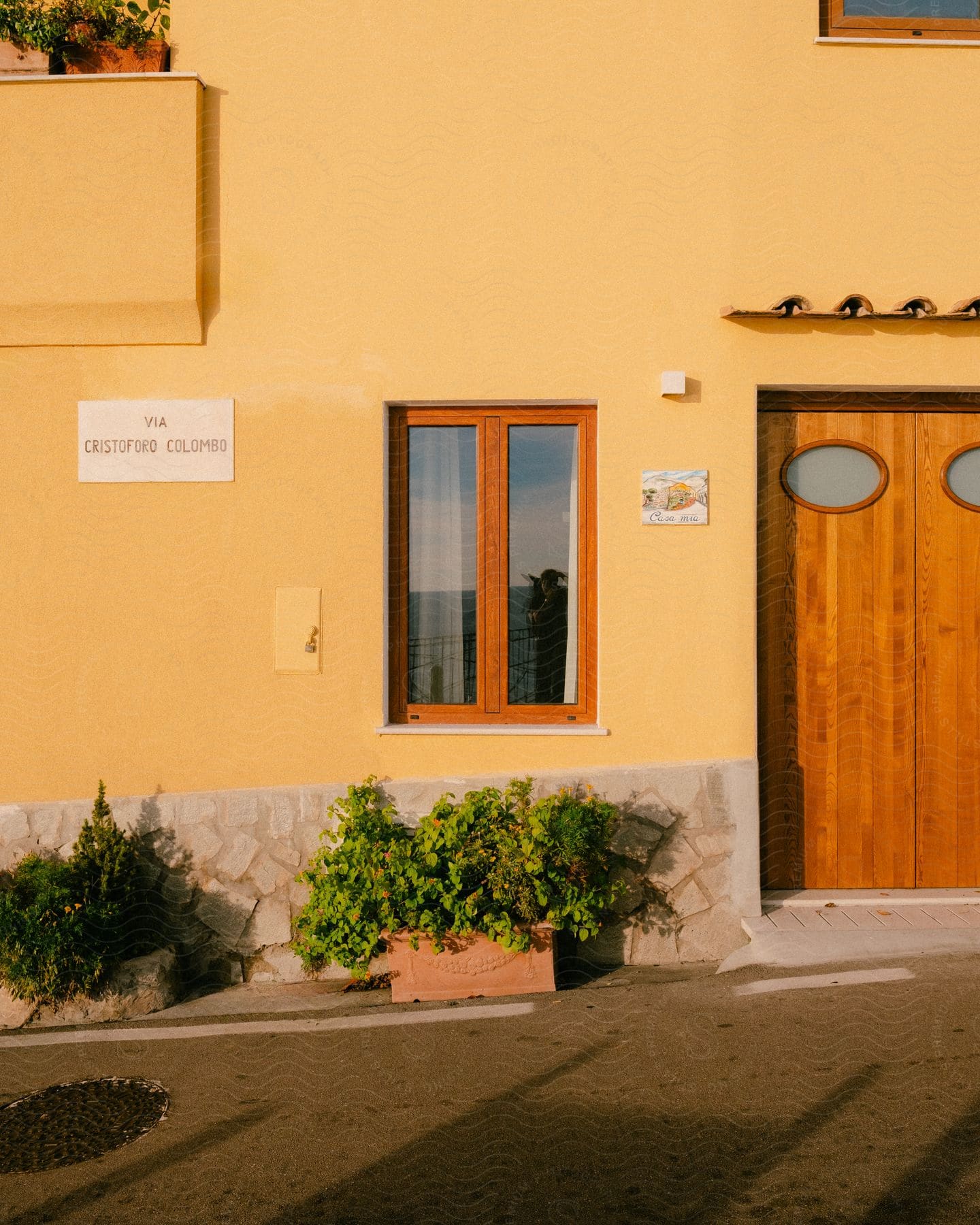 Exterior Architecture Of A Building With Yellowish Wall, Wooden Window And Door And Potted Plants