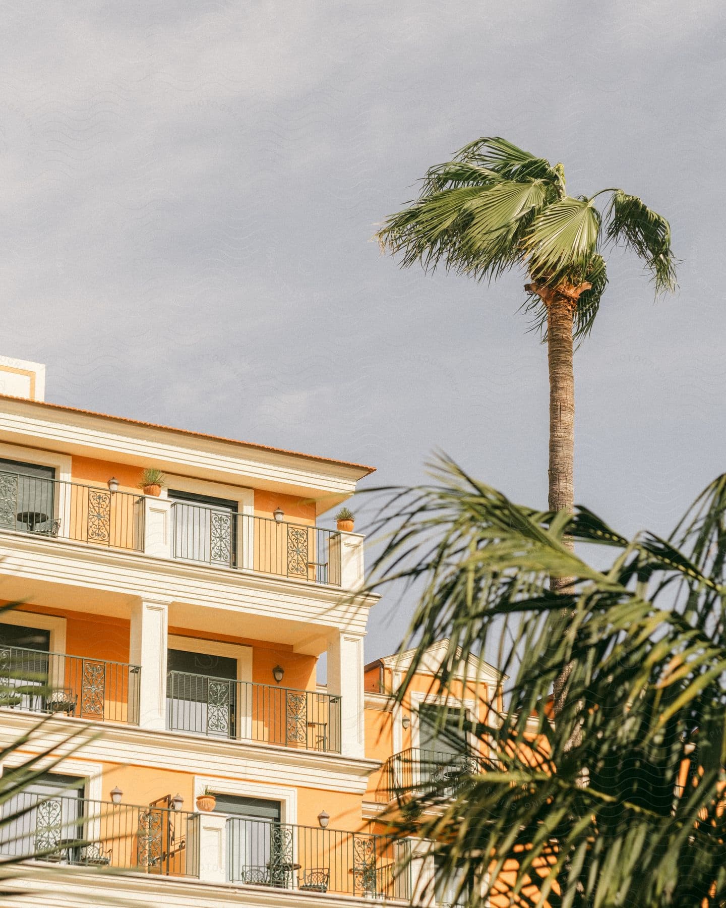 Palm trees with branches waving in the wind, in front of a luxury vacation building.