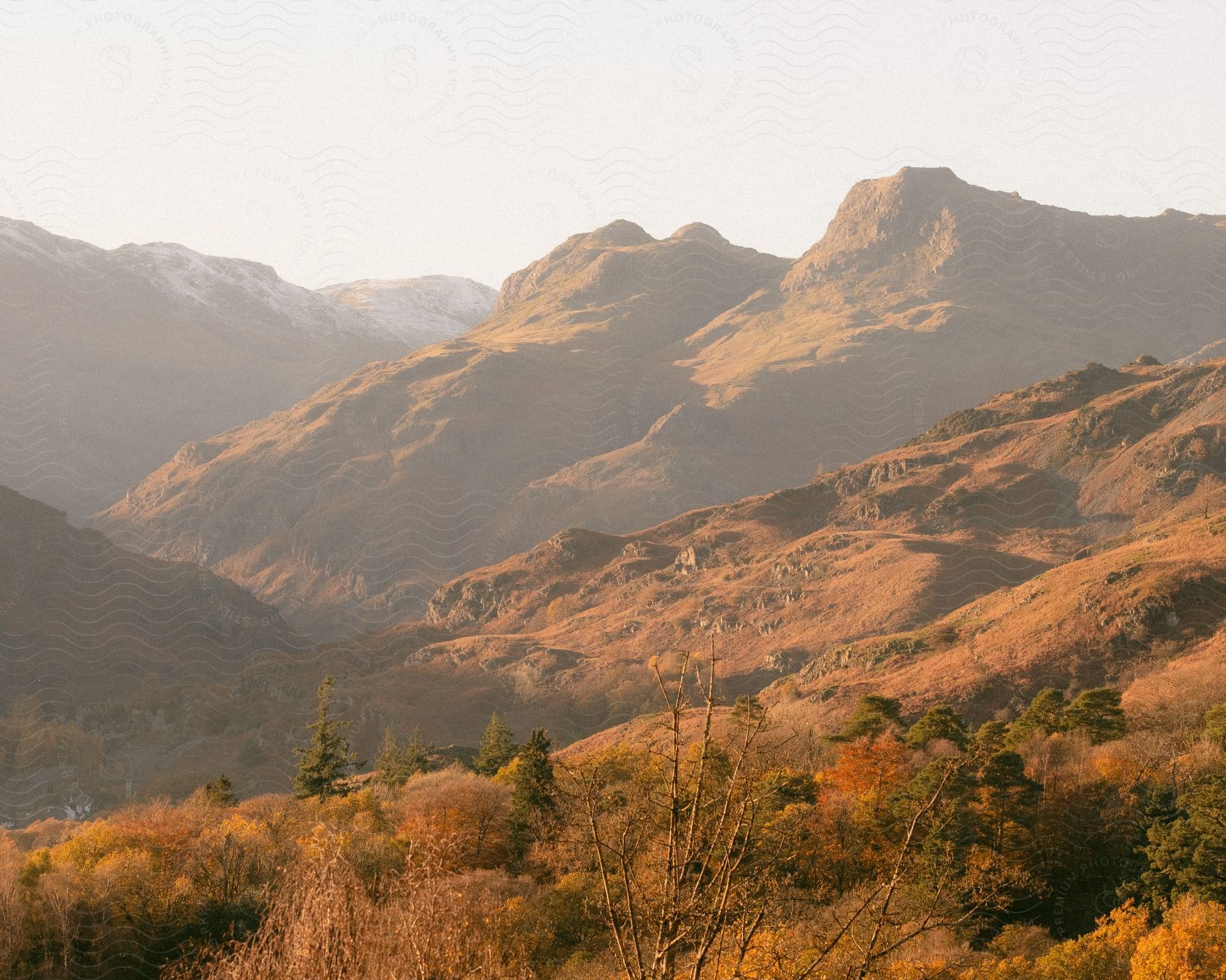 Rolling hills and a rugged mountain landscape, illuminating autumnal trees in the foreground.